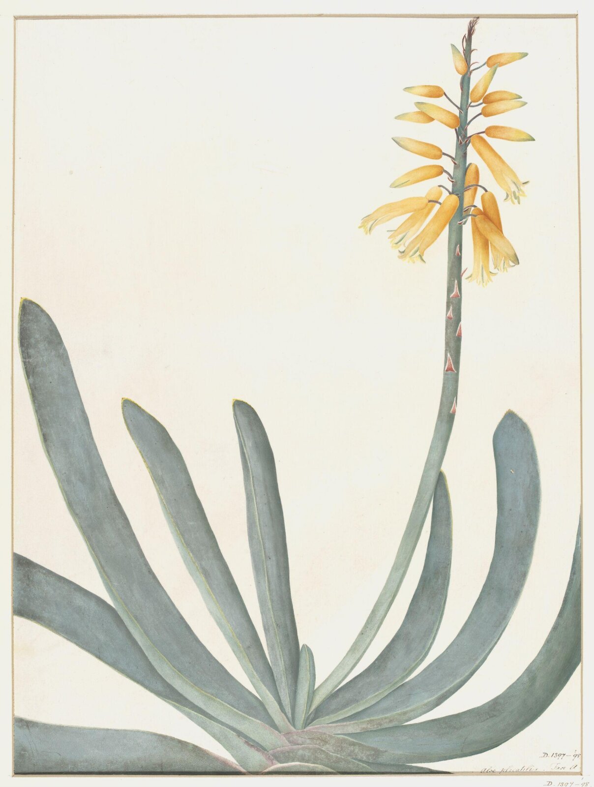 Drawing, A. Power, ca. 1800