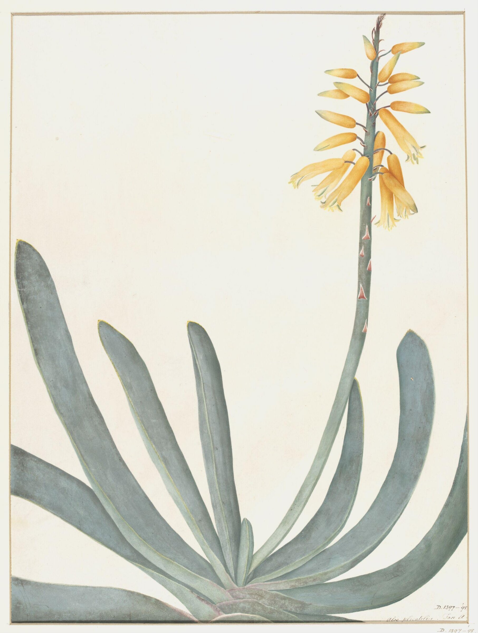Drawing, A. Power, ca. 1800