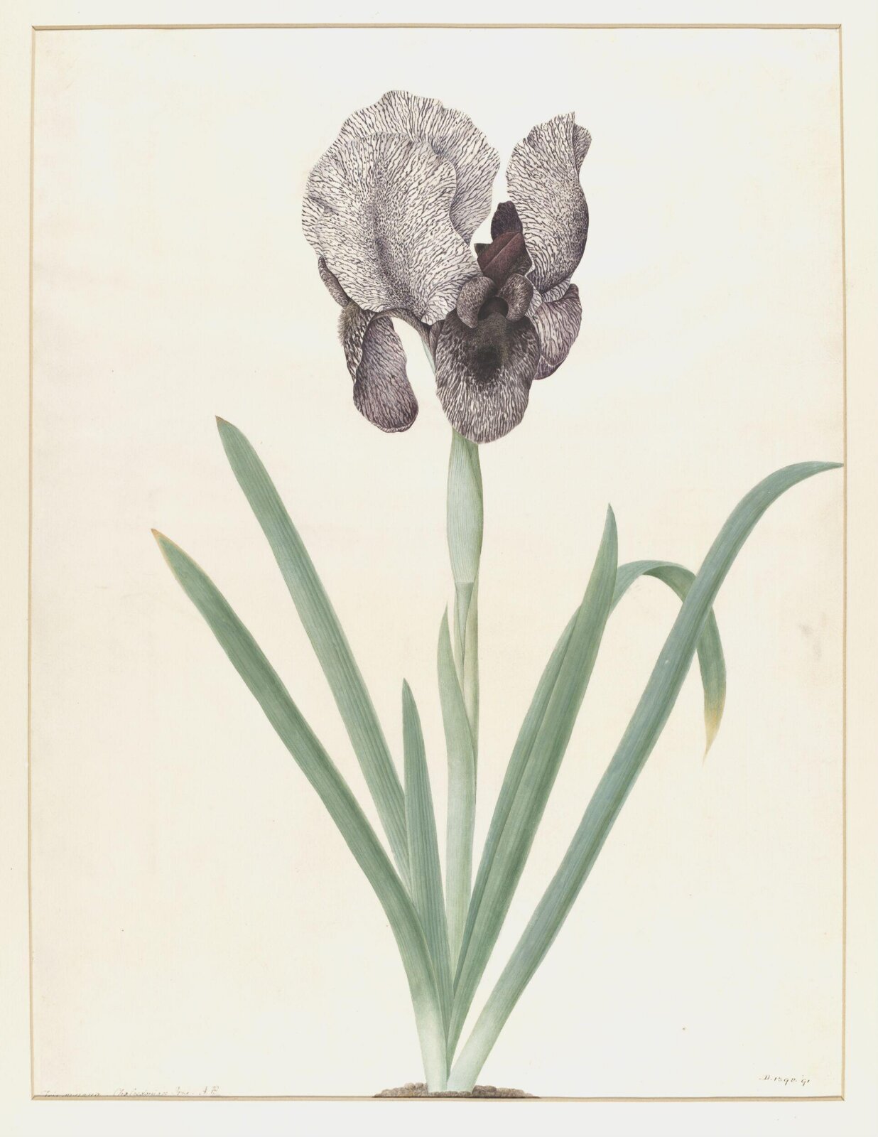 Drawing, A. Power, ca. 1800