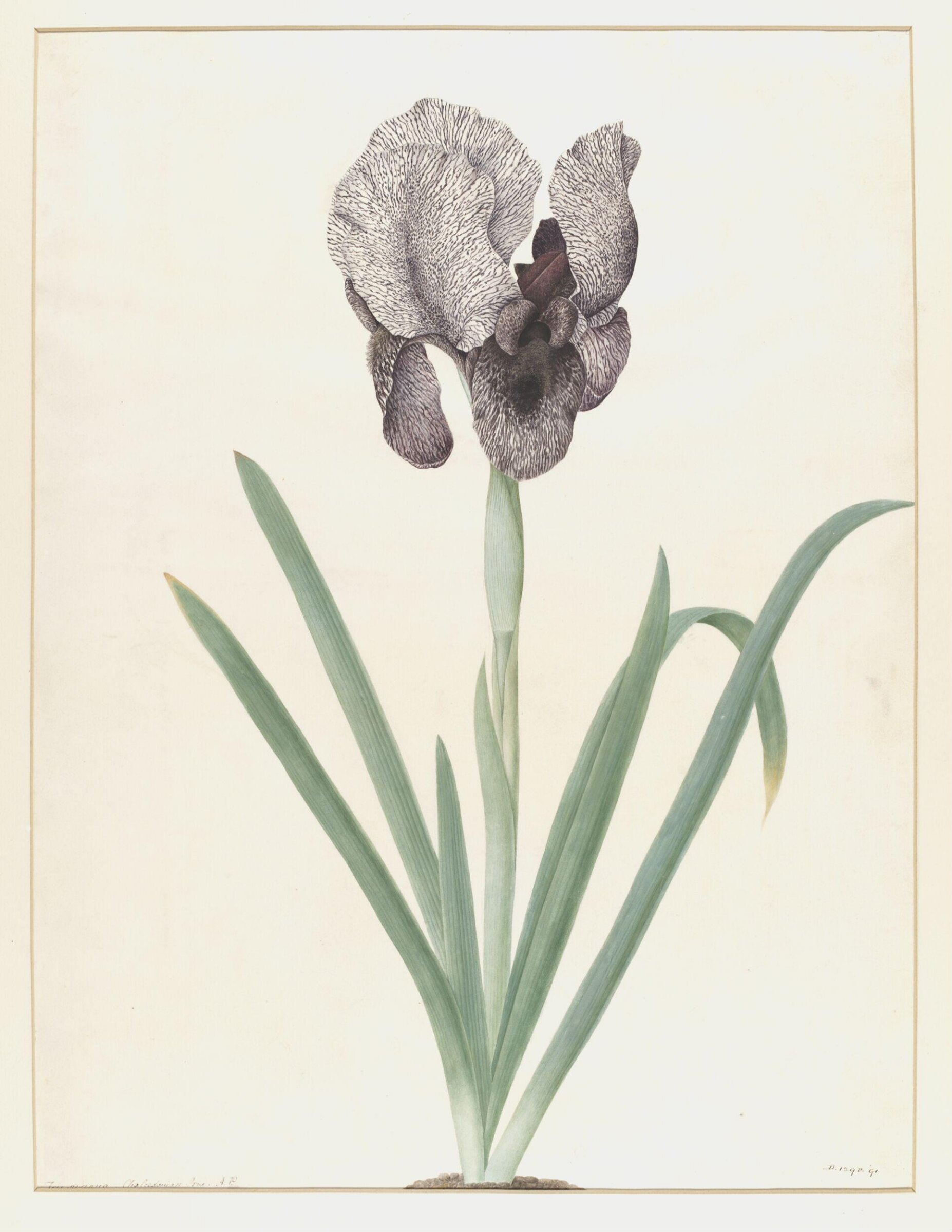 Drawing, A. Power, ca. 1800