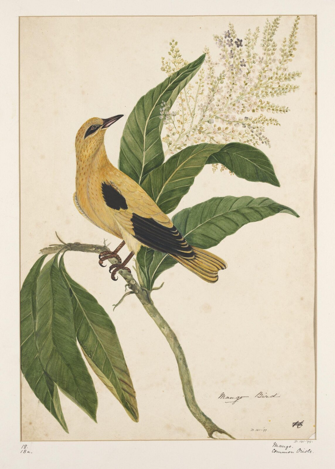 Drawing, early 19th century