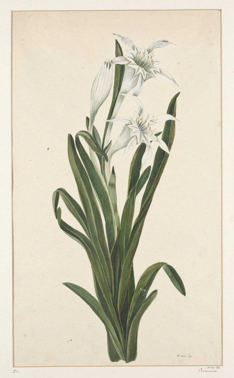 Drawing, early 19th century