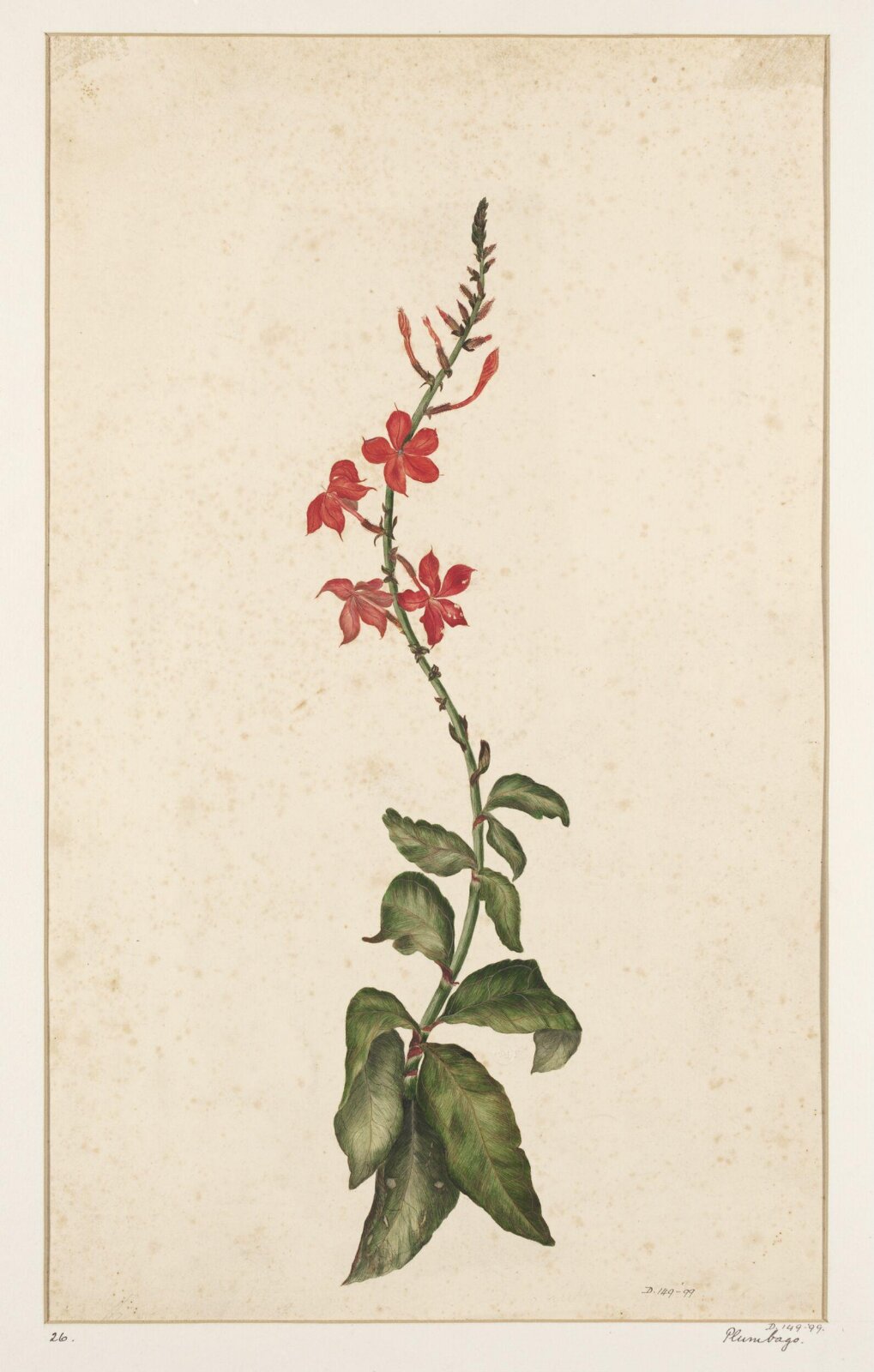 Drawing, early 19th century