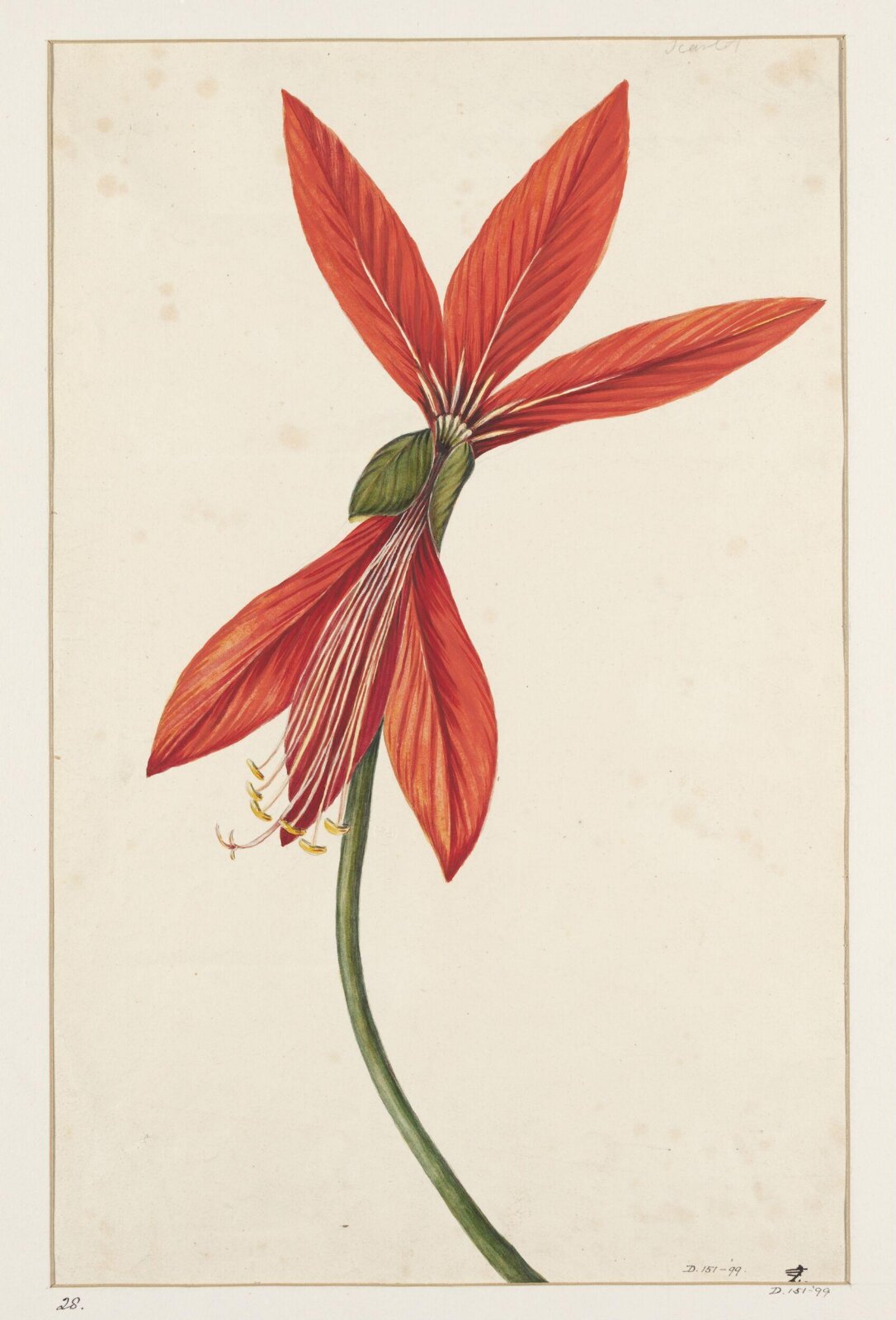 Drawing, early 19th century