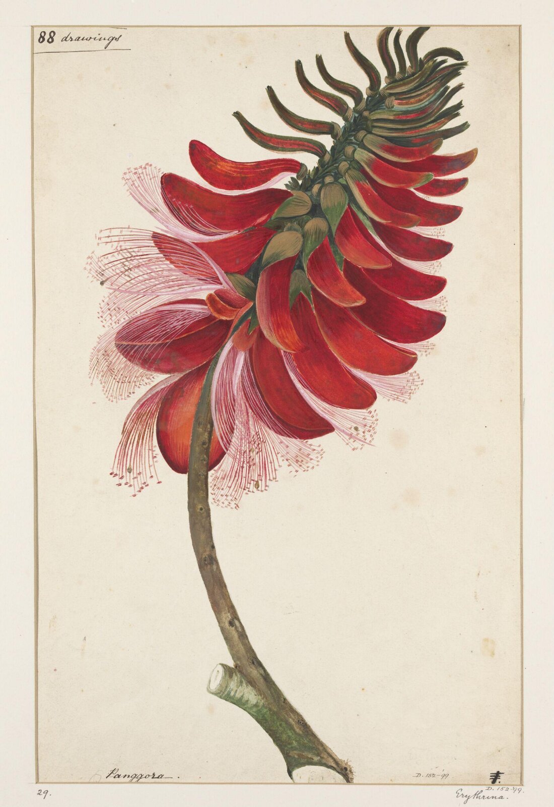 Drawing, early 19th century