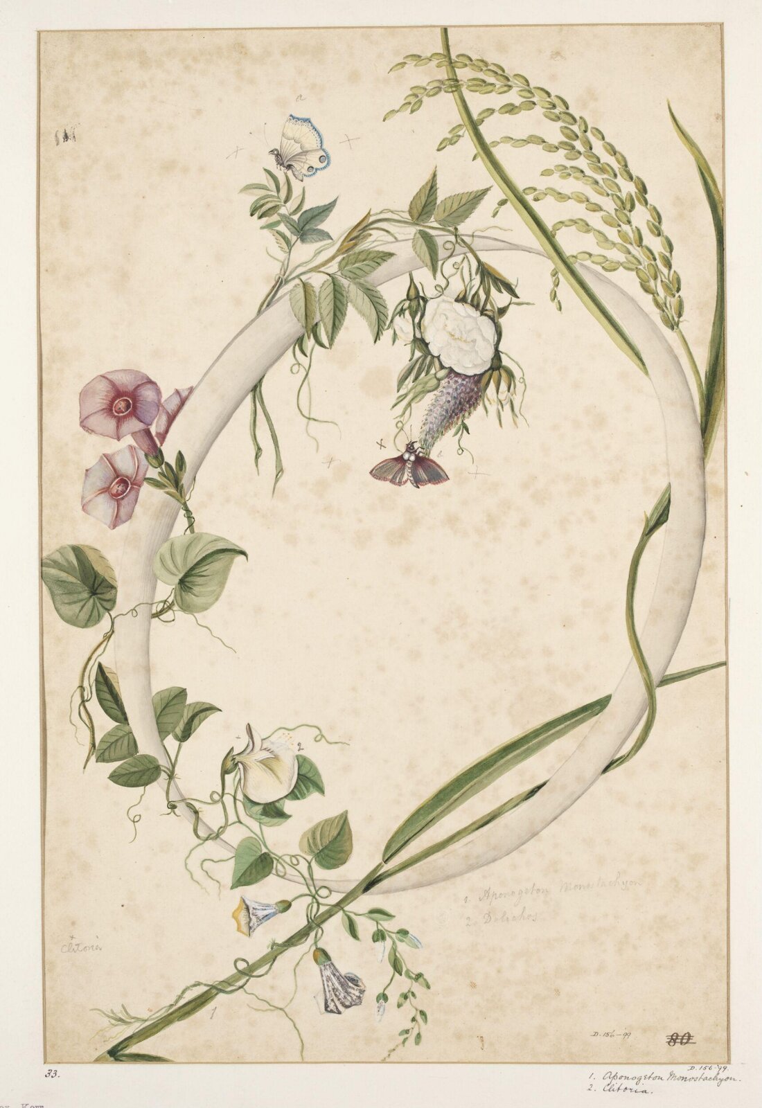 Drawing, early 19th century