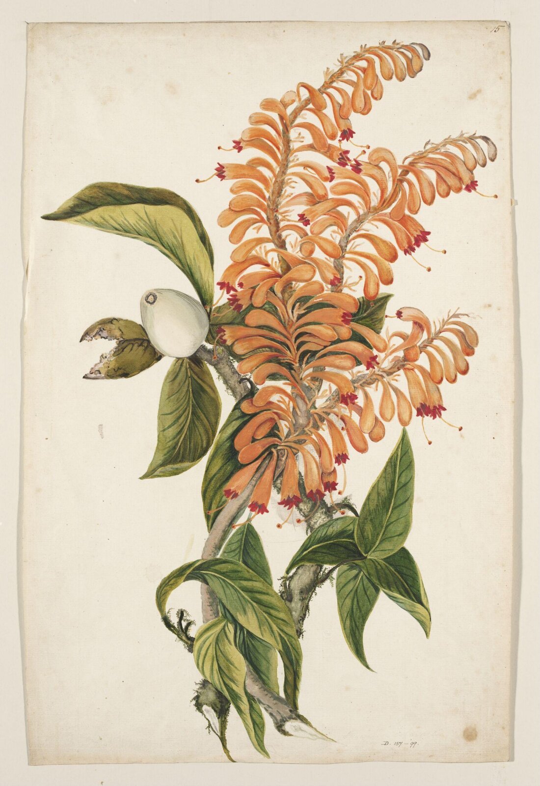 Drawing, early 19th century