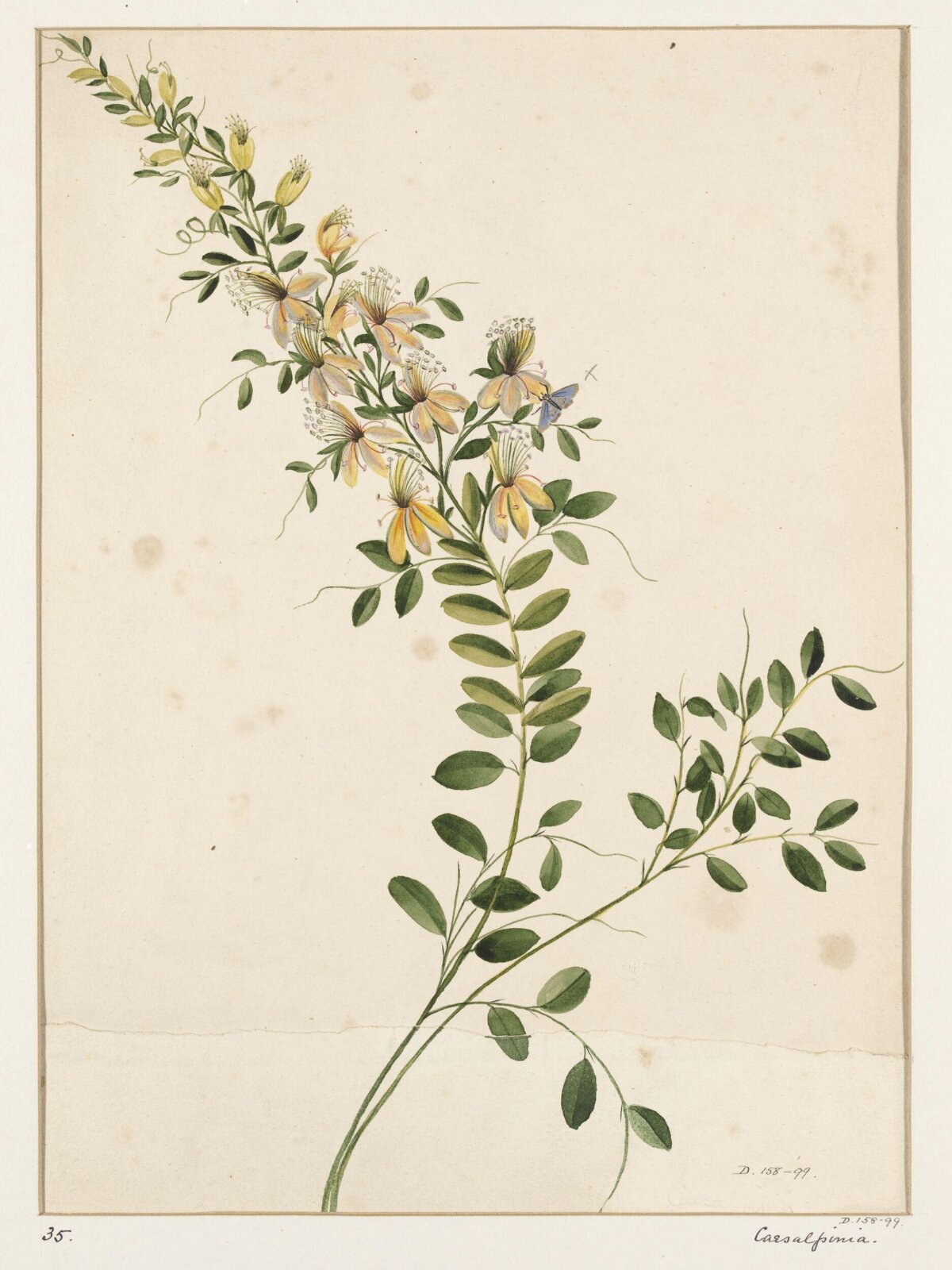 Drawing, early 19th century