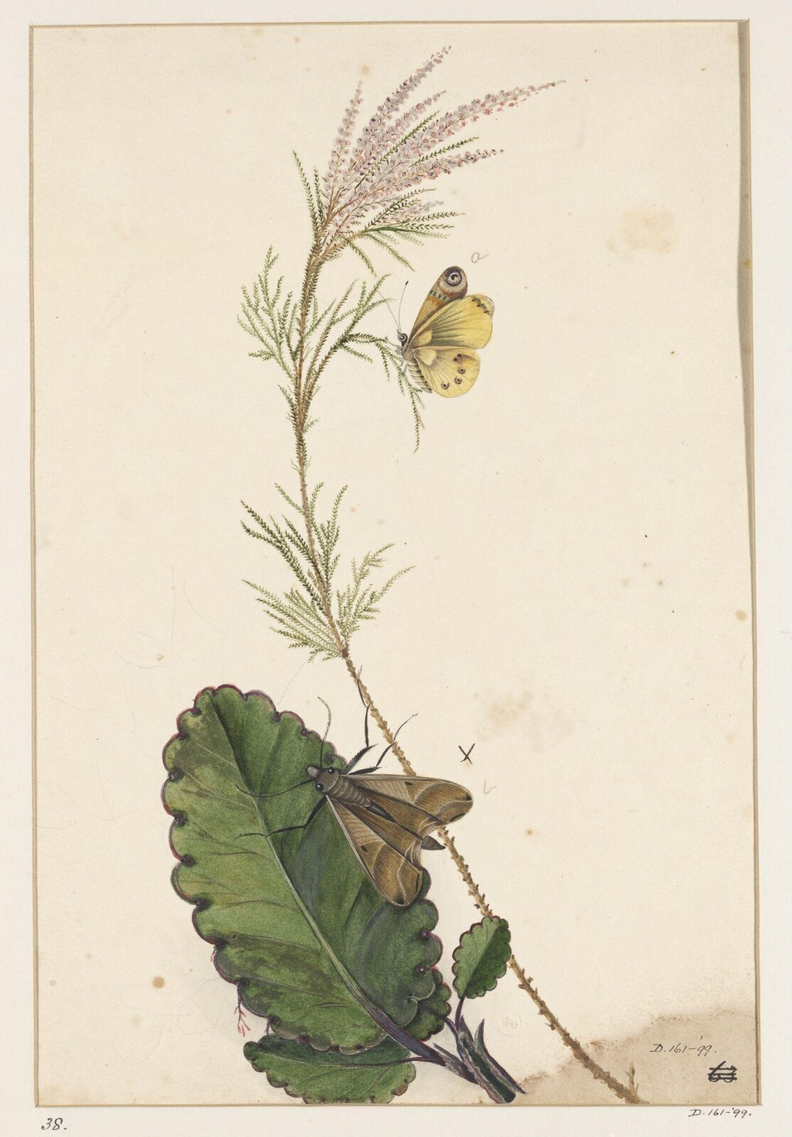 Drawing, early 19th century