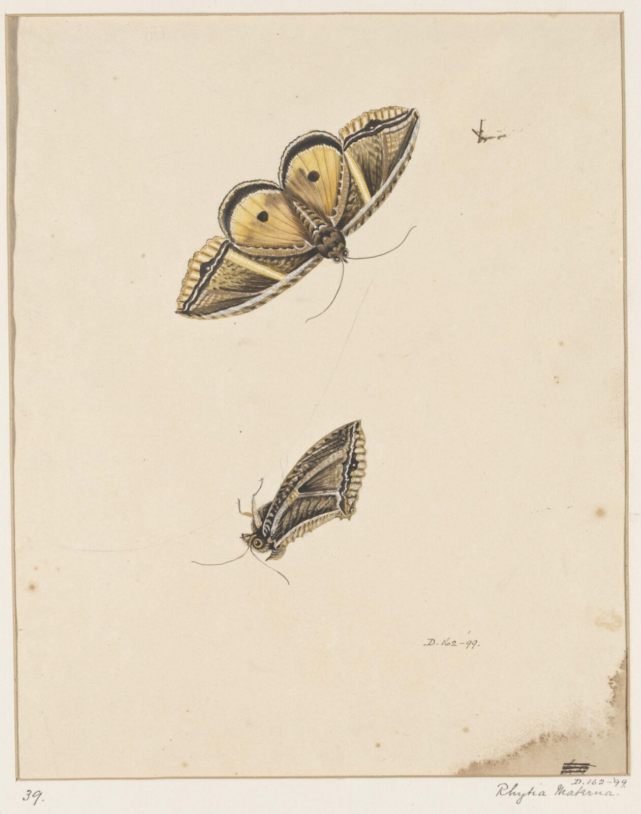 Drawing, early 19th century