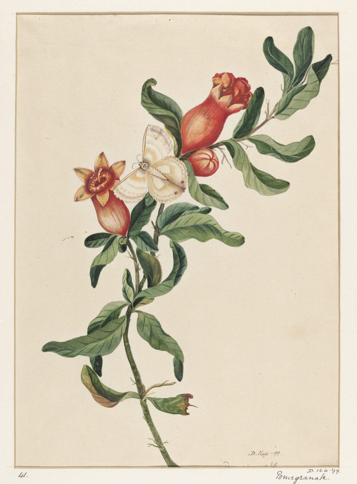 Drawing, early 19th century