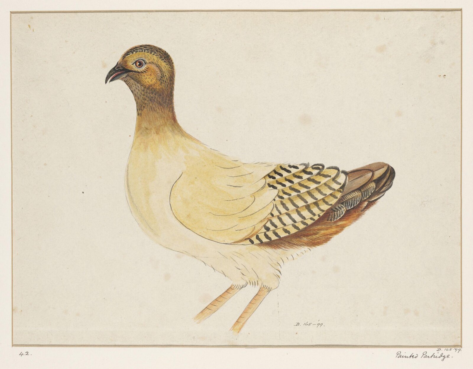 Drawing, early 19th century