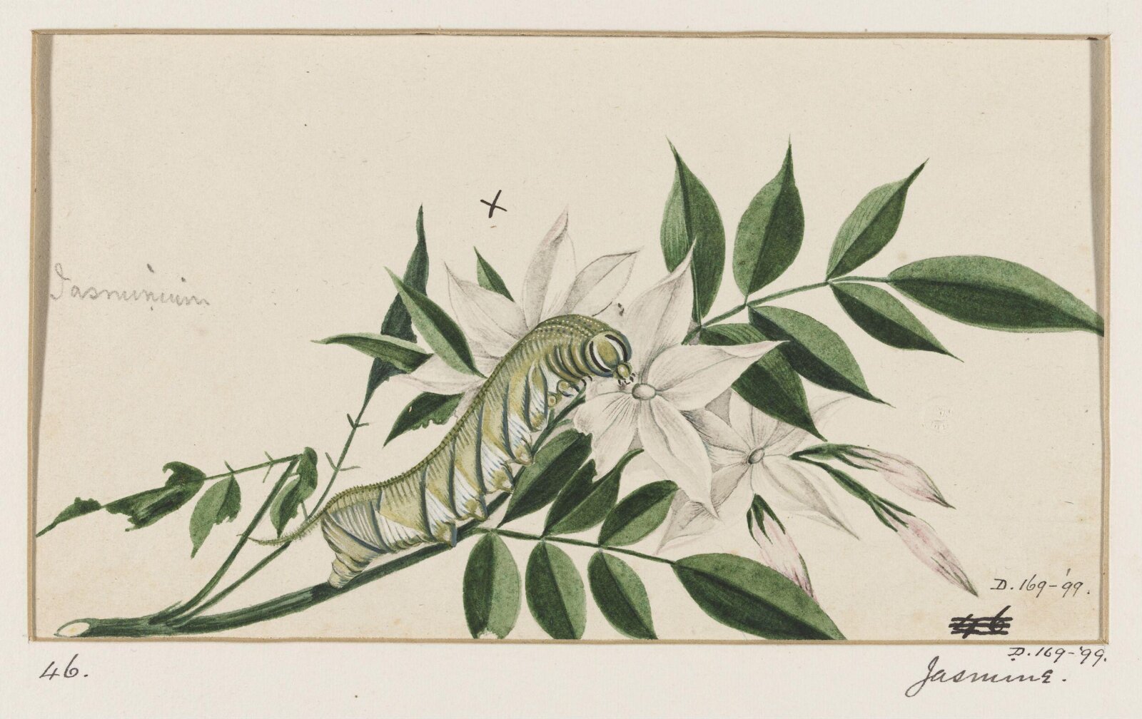 Drawing, early 19th century