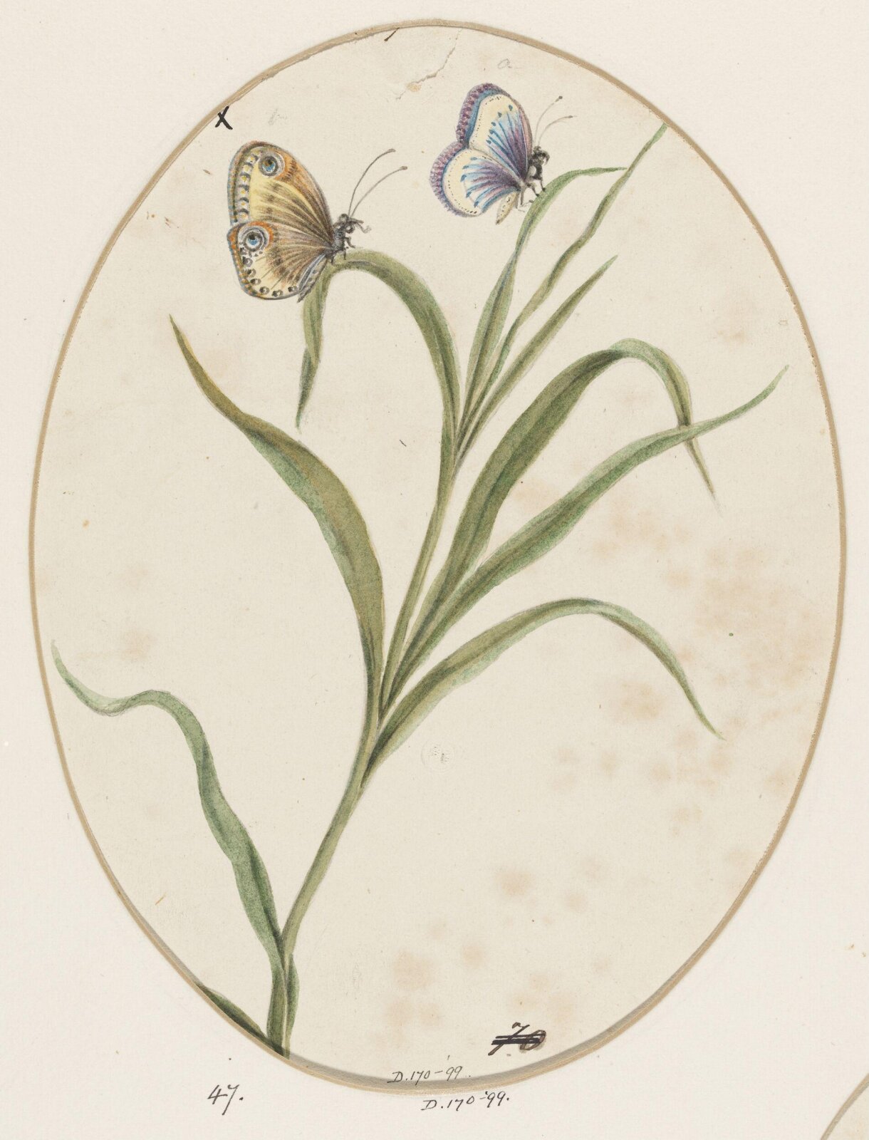 Drawing, early 19th century