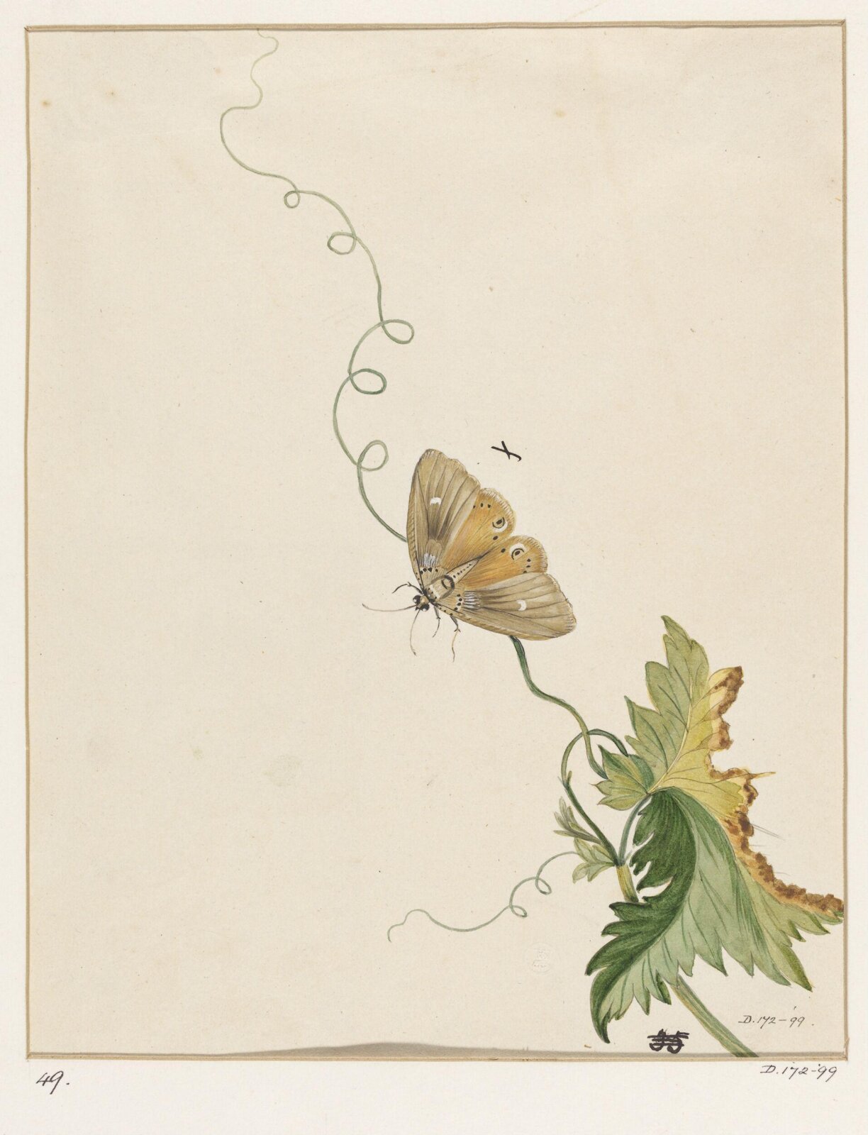 Drawing, early 19th century