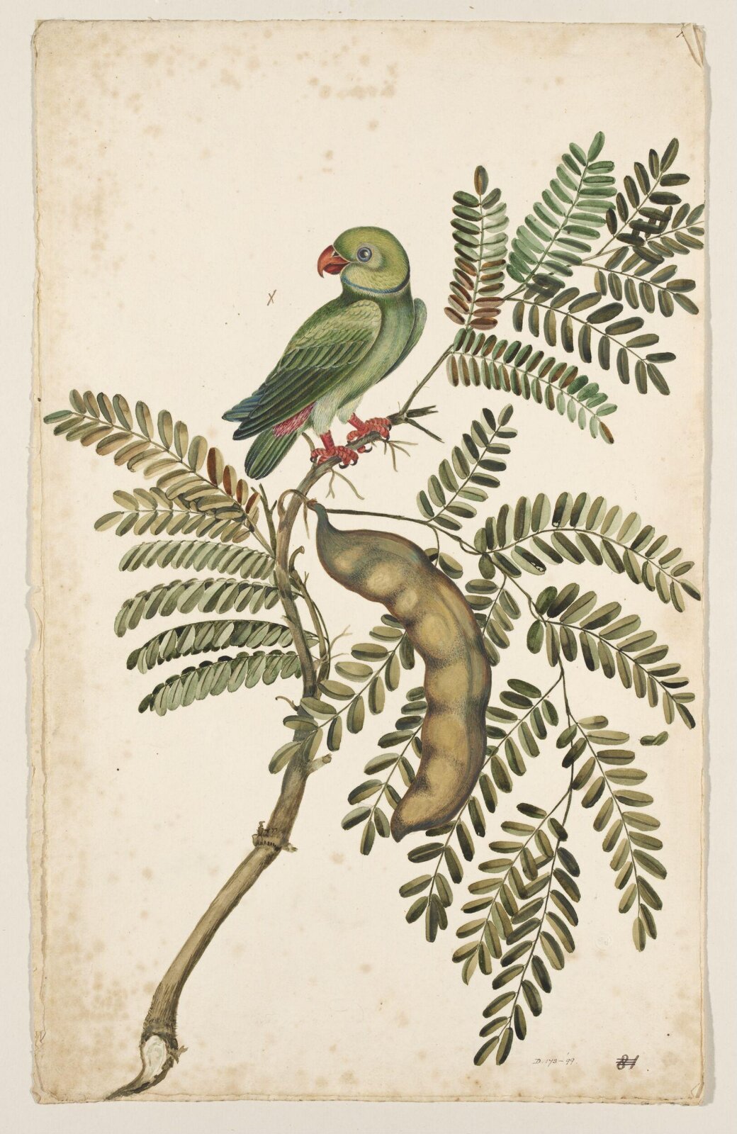 Drawing, early 19th century