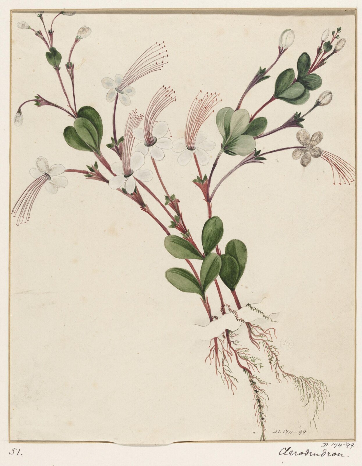 Drawing, early 19th century
