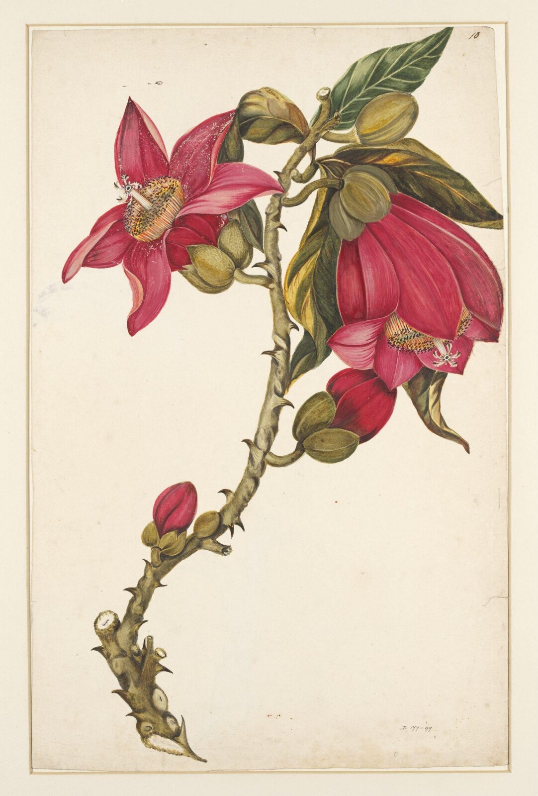 Drawing, early 19th century