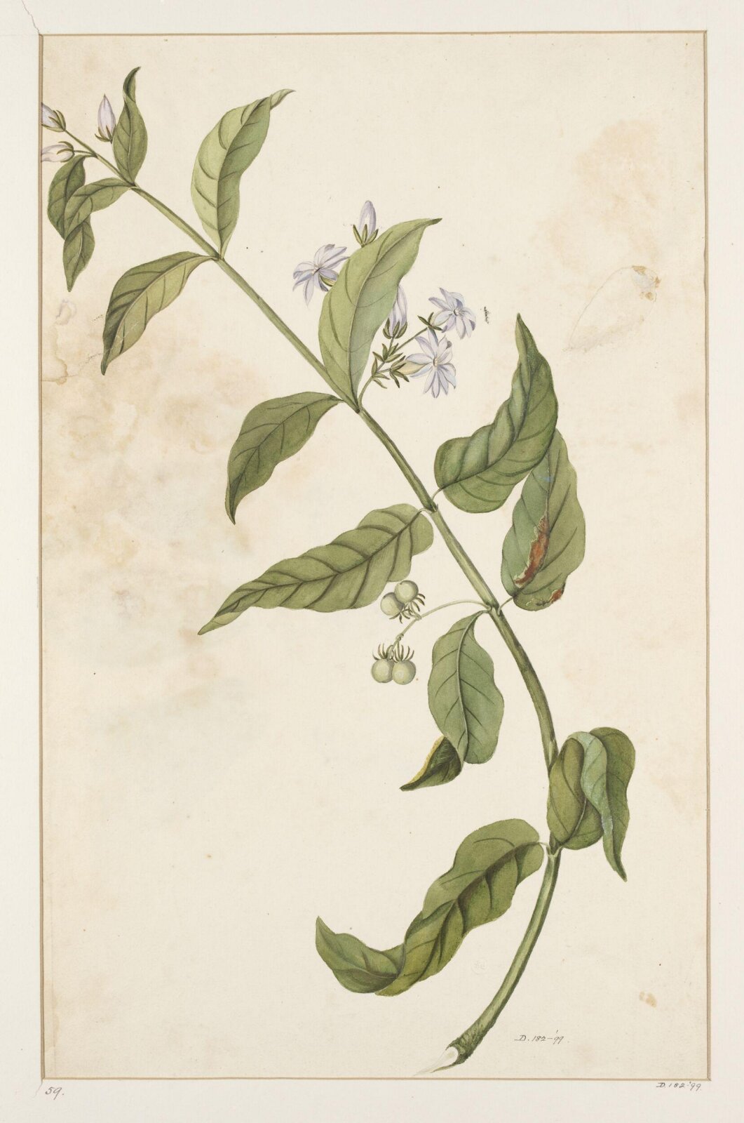 Drawing, early 19th century
