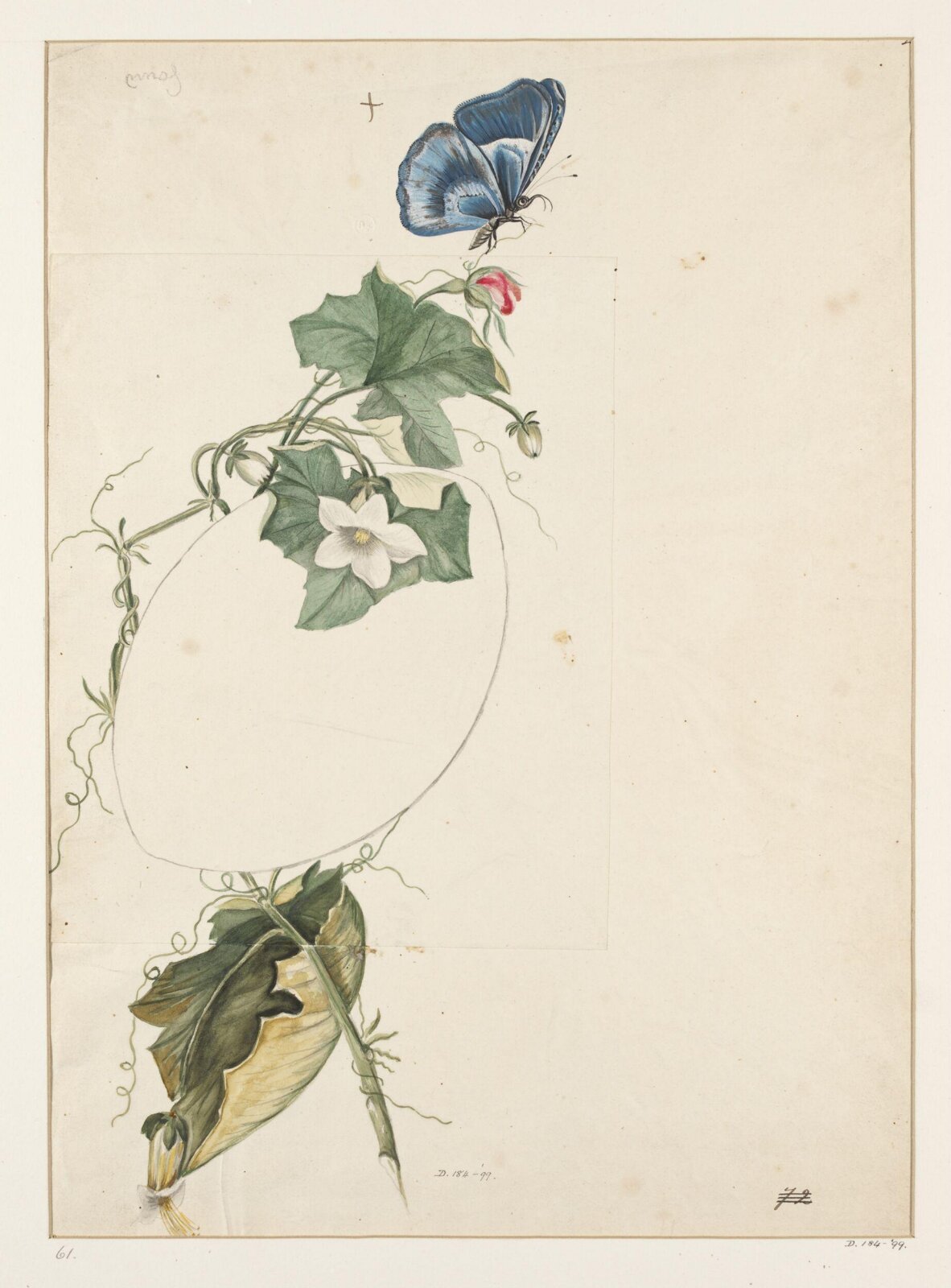 Drawing, early 19th century