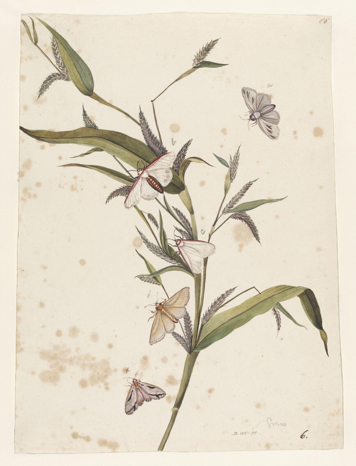 Drawing, early 19th century