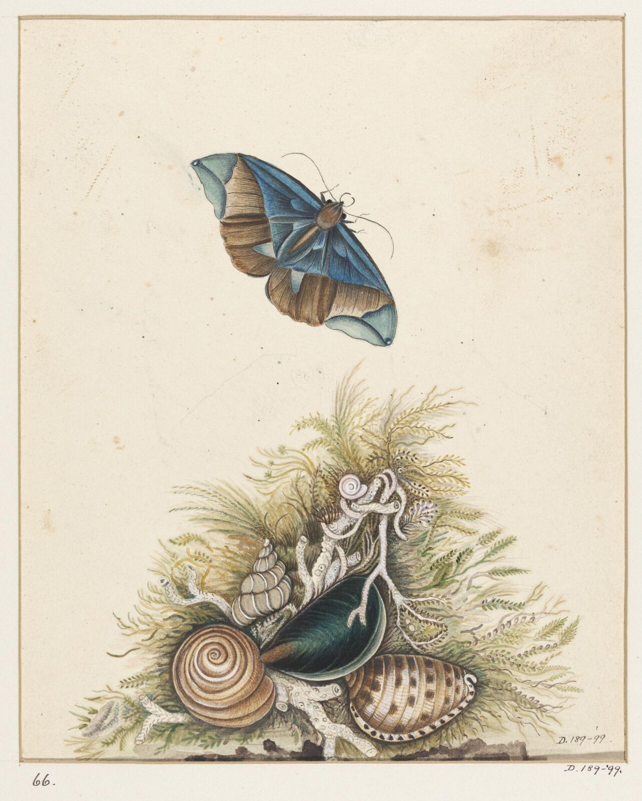 Drawing, early 19th century