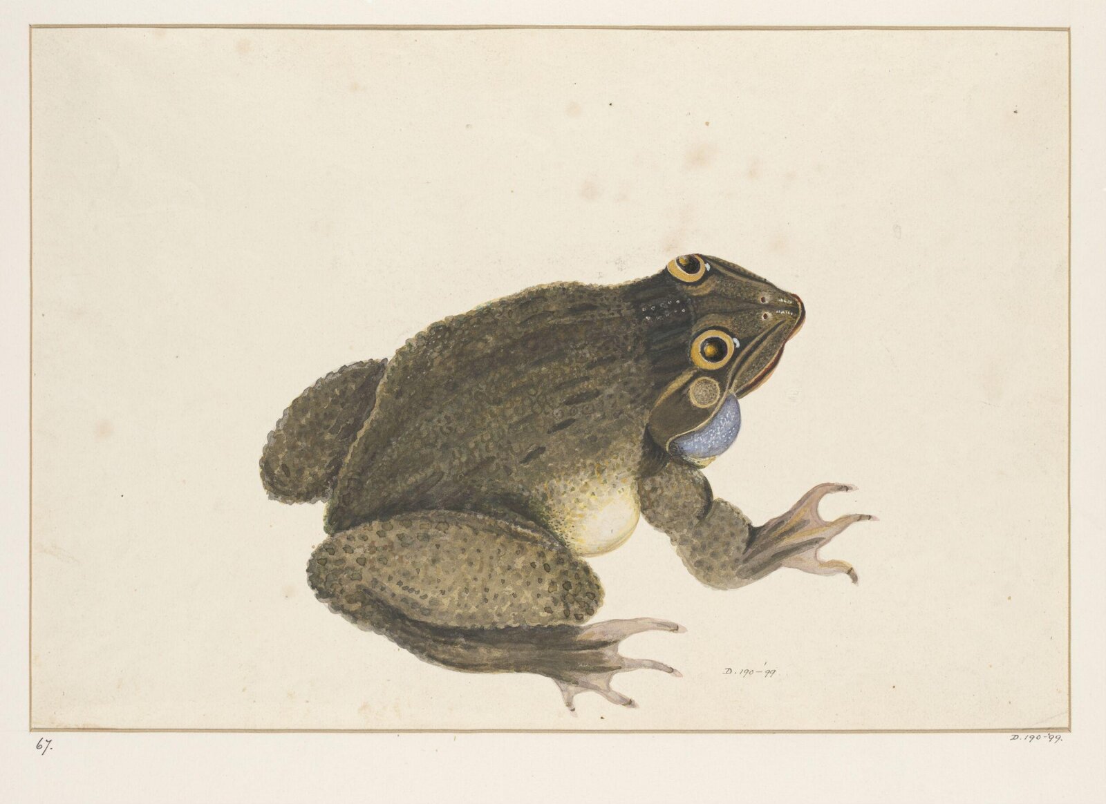 Drawing, early 19th century