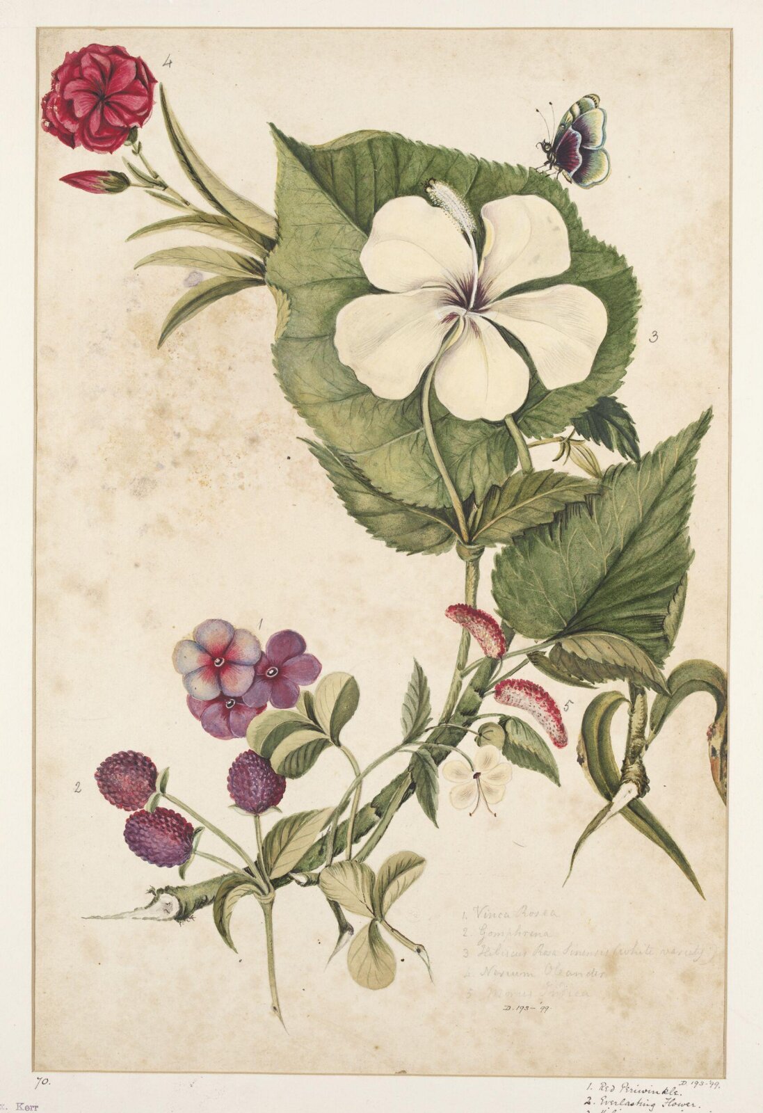 Drawing, early 19th century