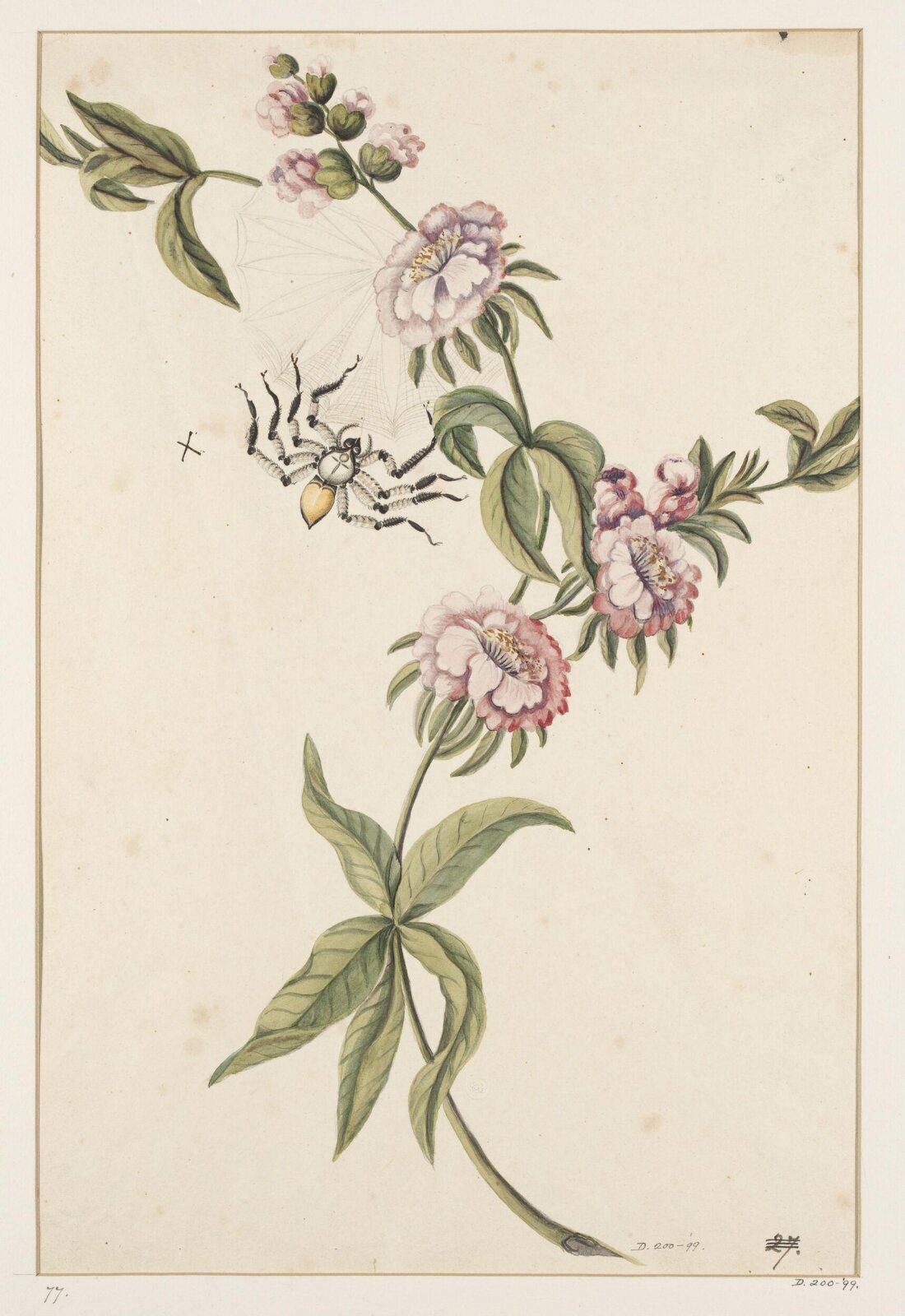 Drawing, early 19th century