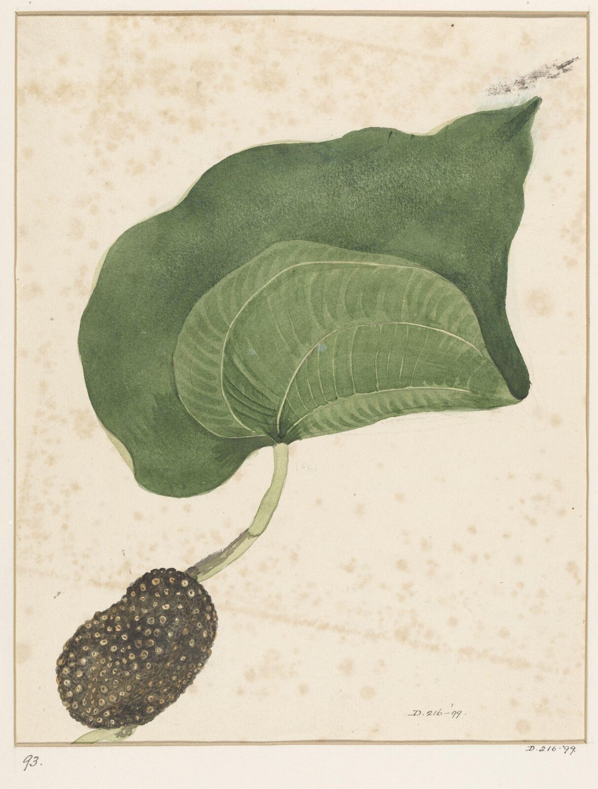 Drawing, early 19th century
