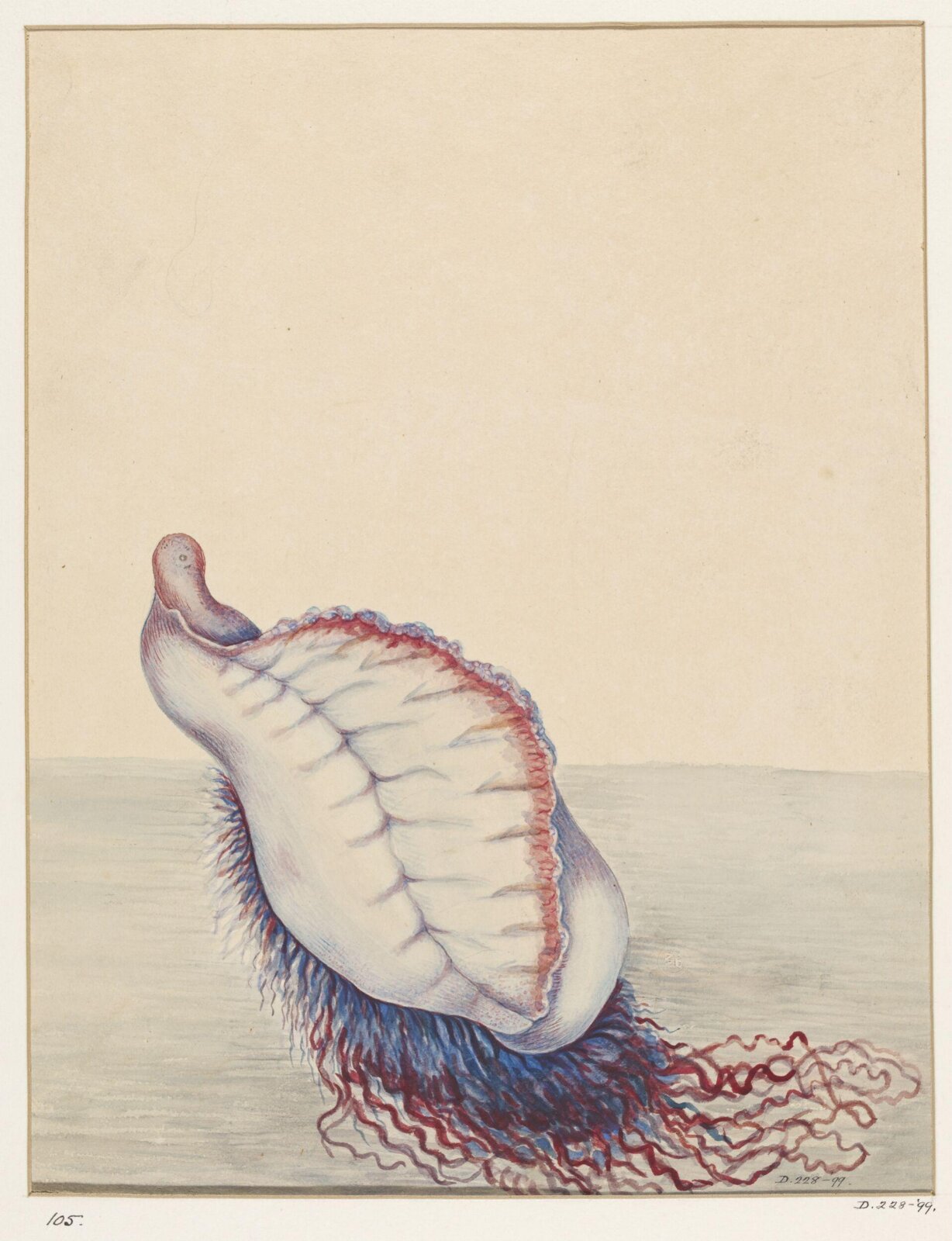 Drawing, early 19th century