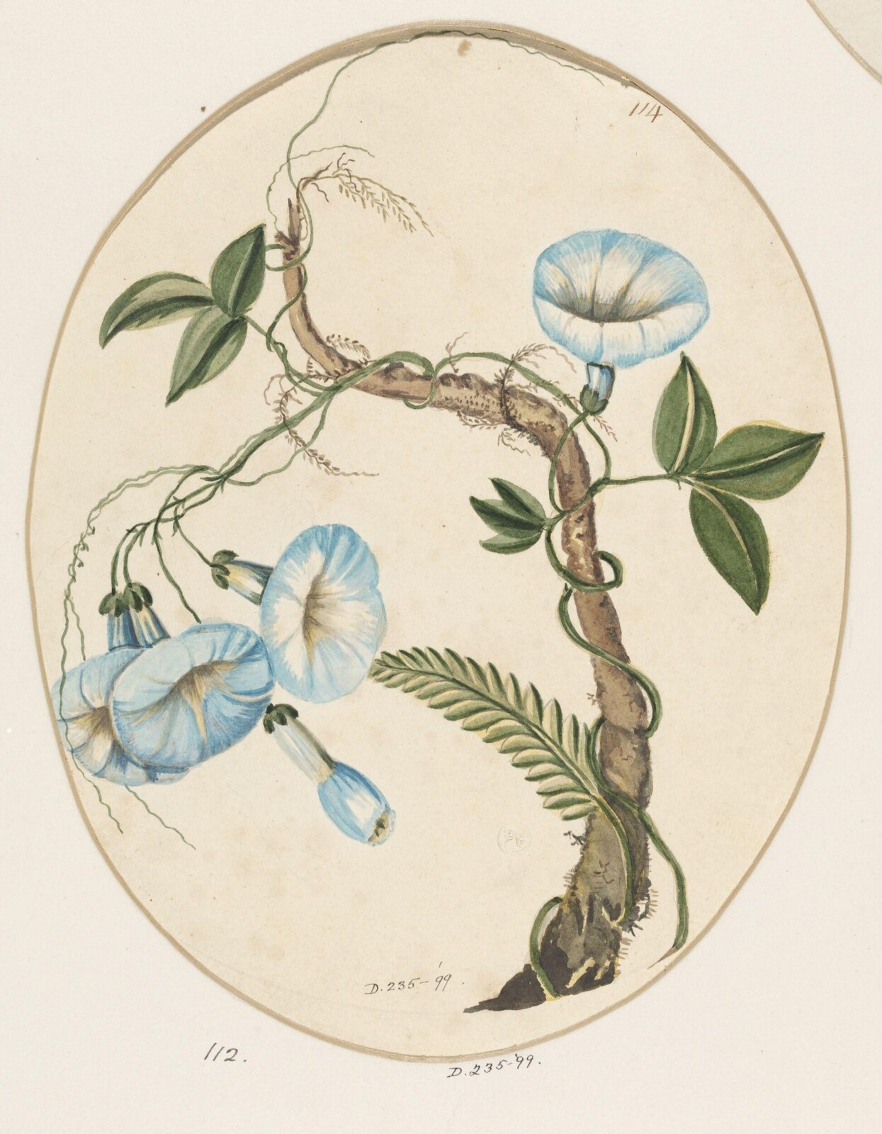 Drawing, early 19th century