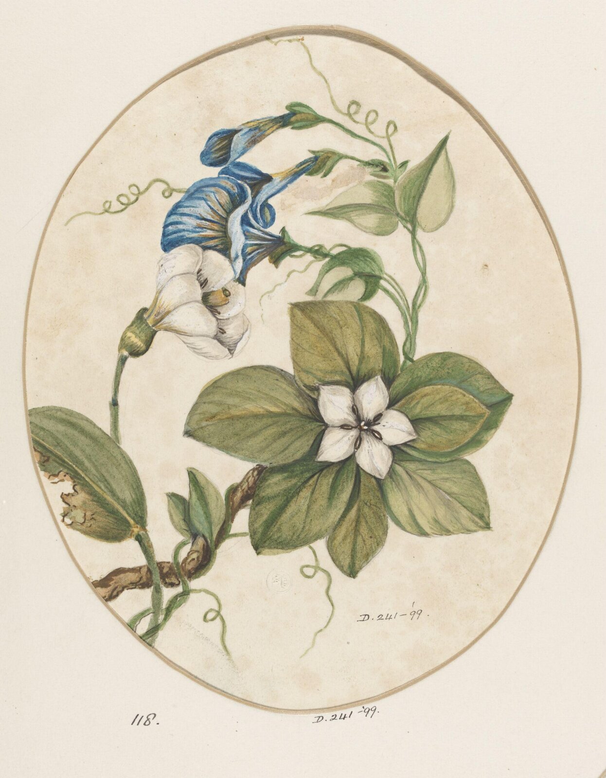 Drawing, early 19th century