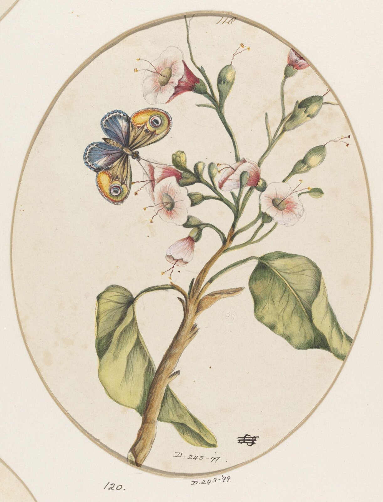 Drawing, early 19th century