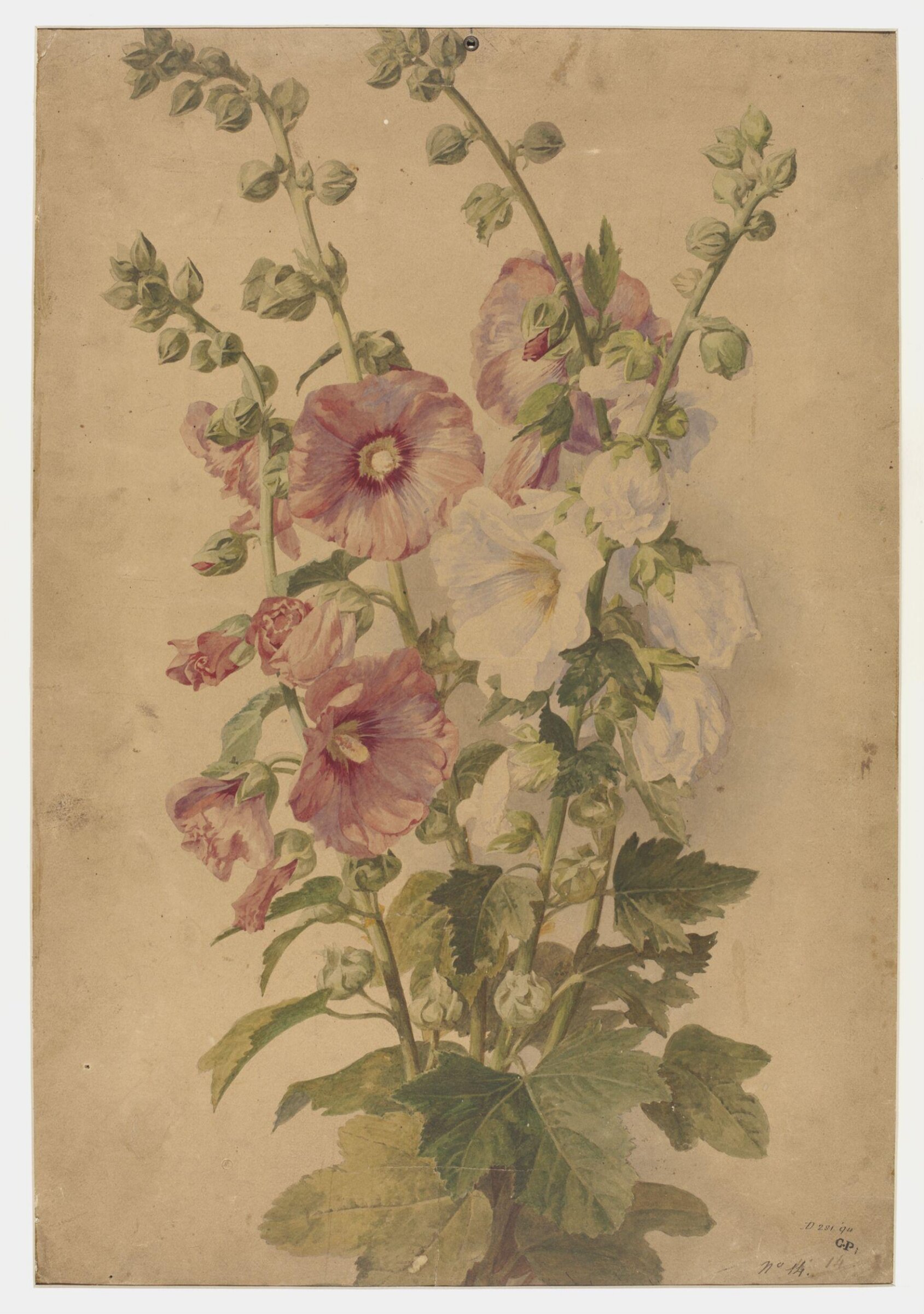 Drawing, Charles Polisch, ca. 1845
