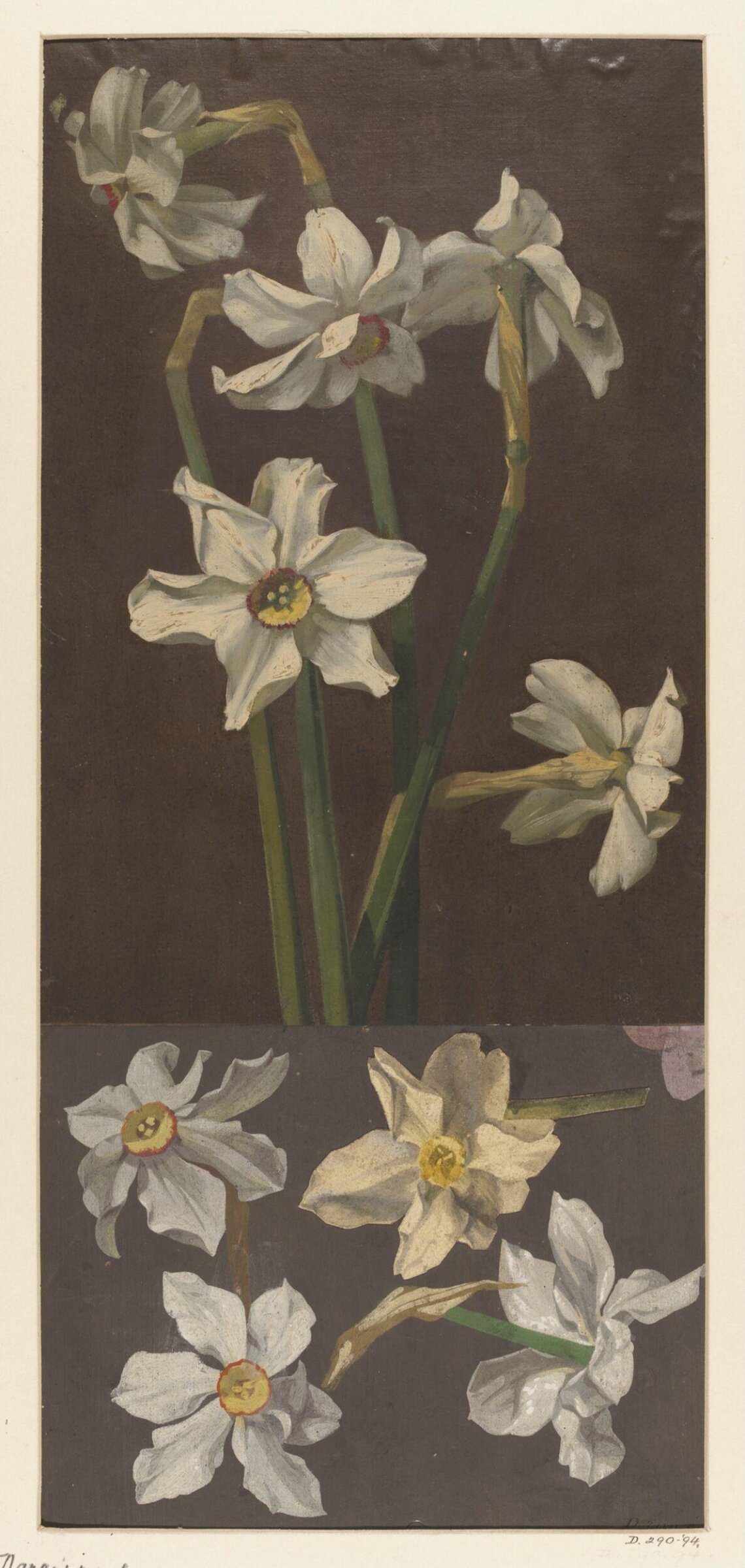 Drawing, Charles Polisch, ca. 1845