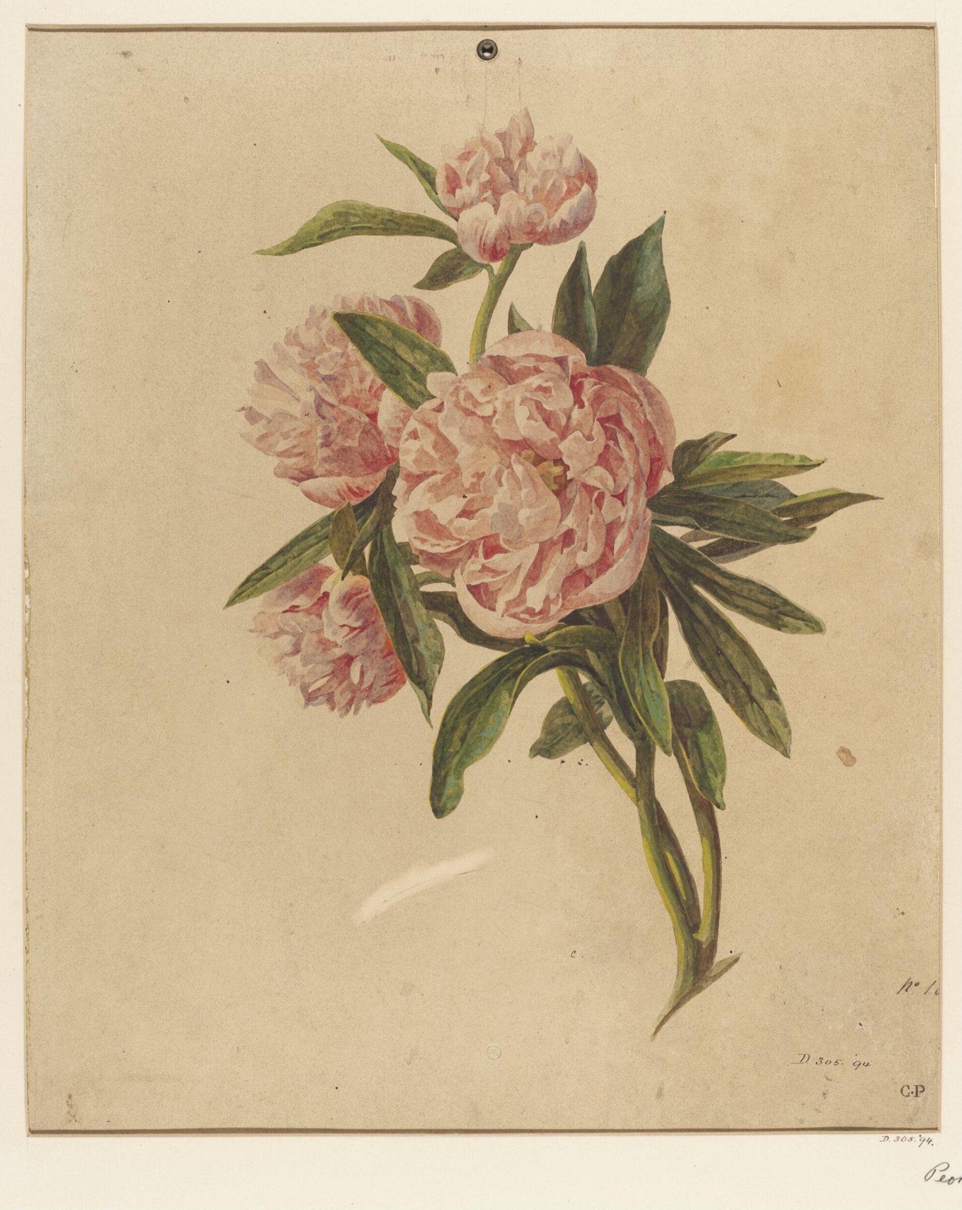 Drawing, Charles Polisch, ca. 1845