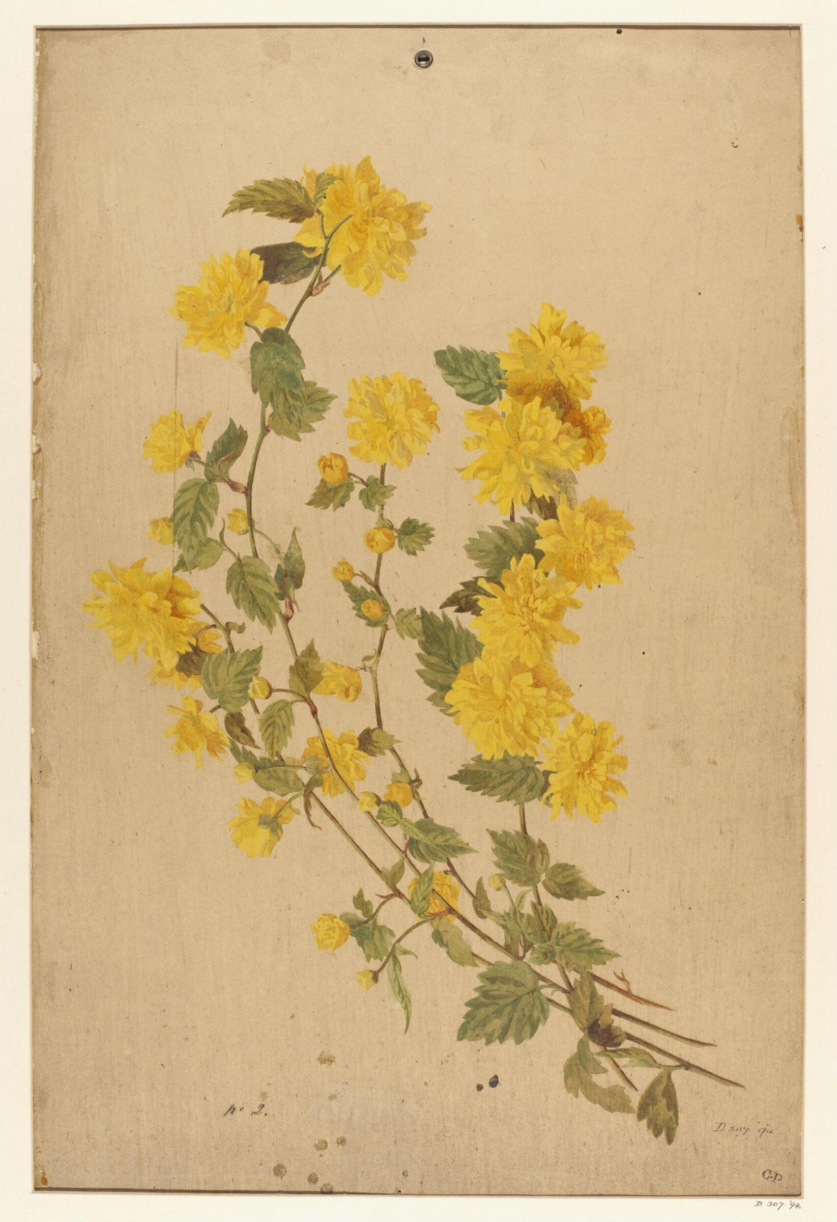 Drawing, Charles Polisch, ca. 1845