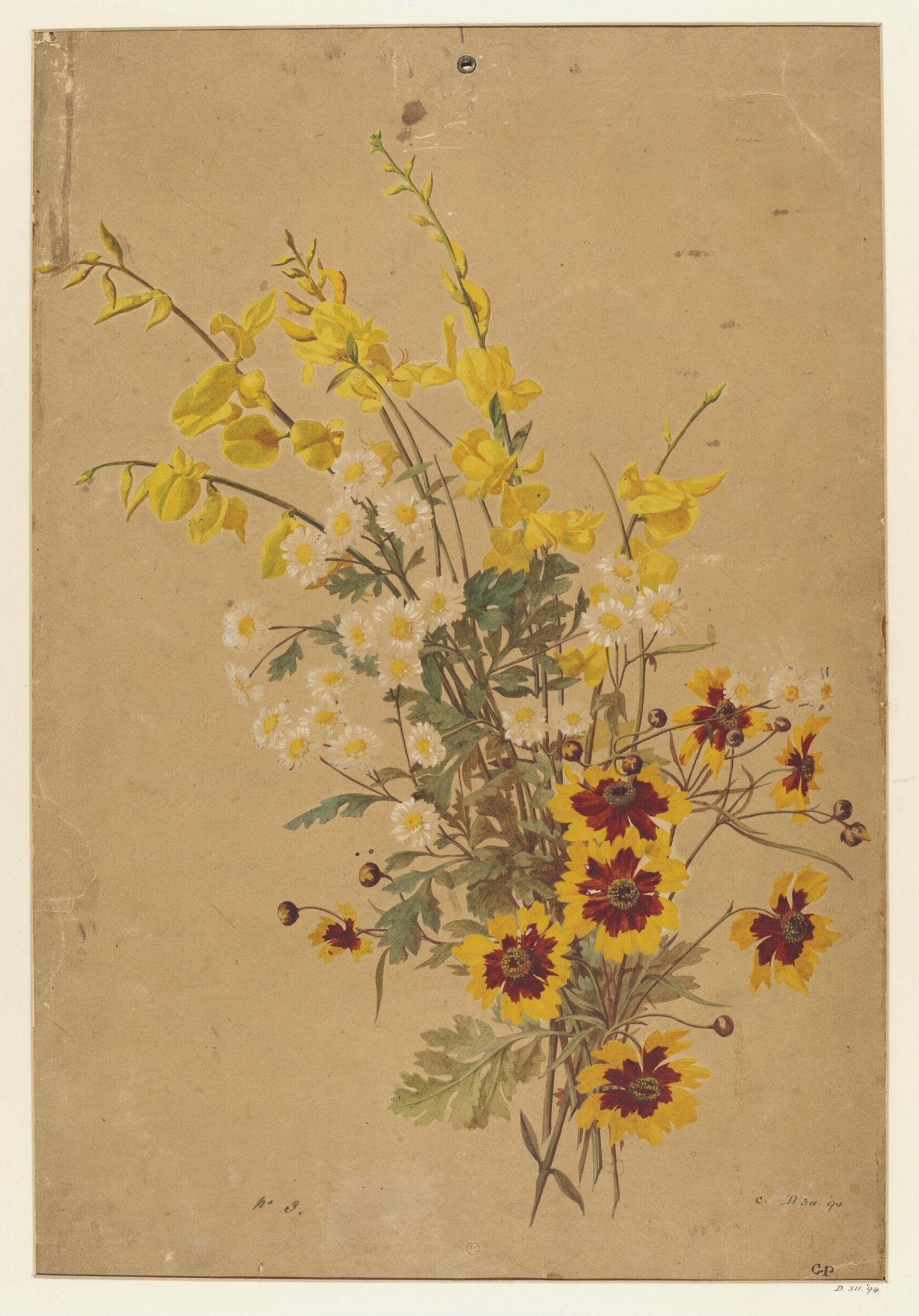 Drawing, Charles Polisch, ca. 1845