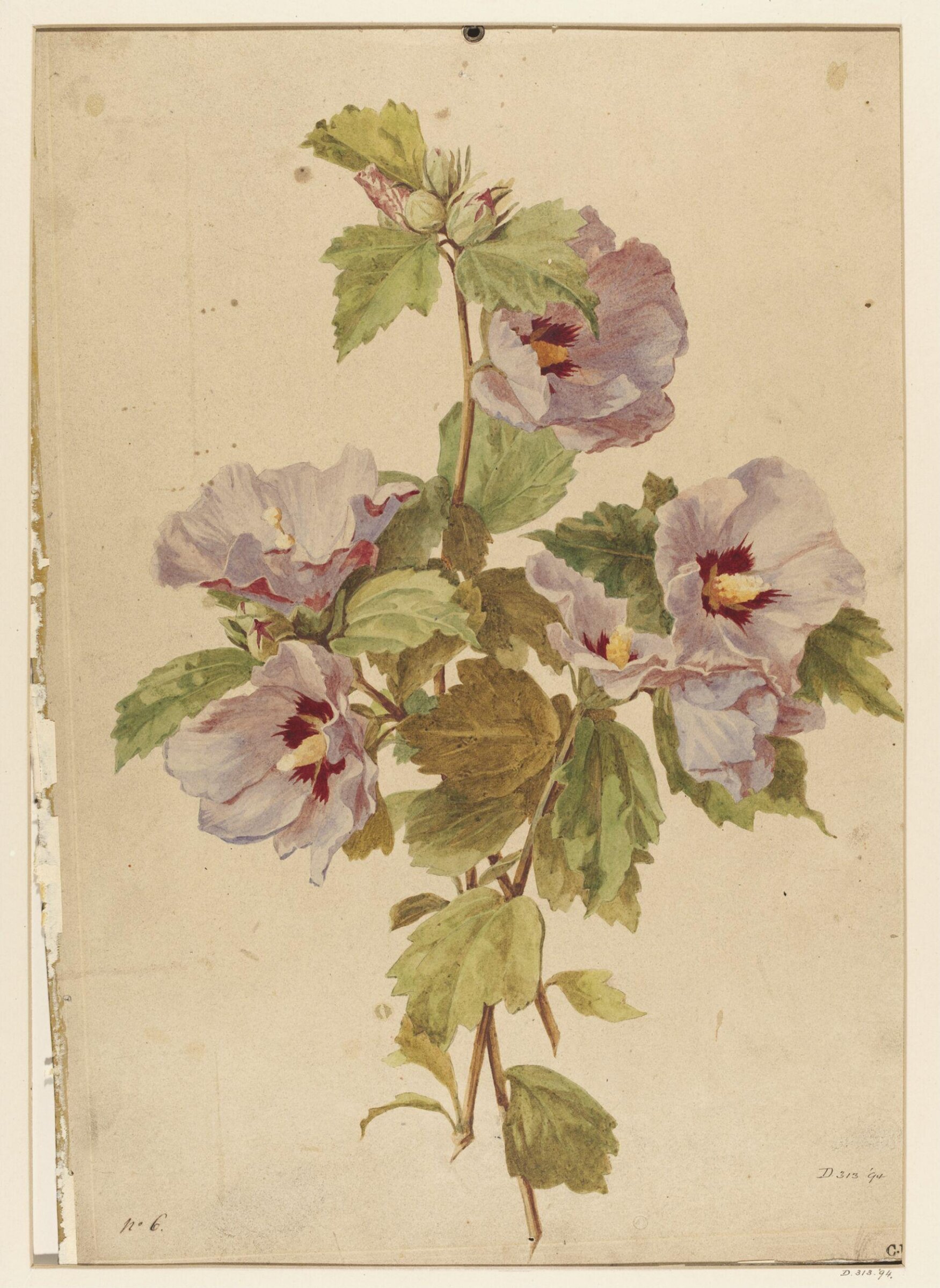 Drawing, Charles Polisch, ca. 1845