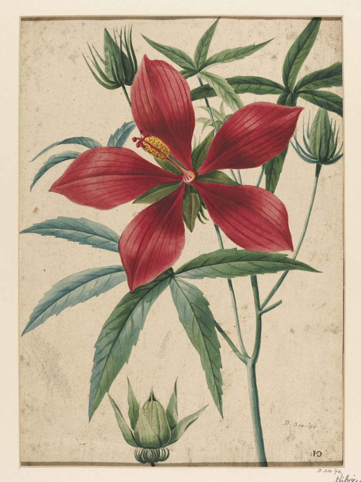 Drawing, Charles Polisch, ca. 1845