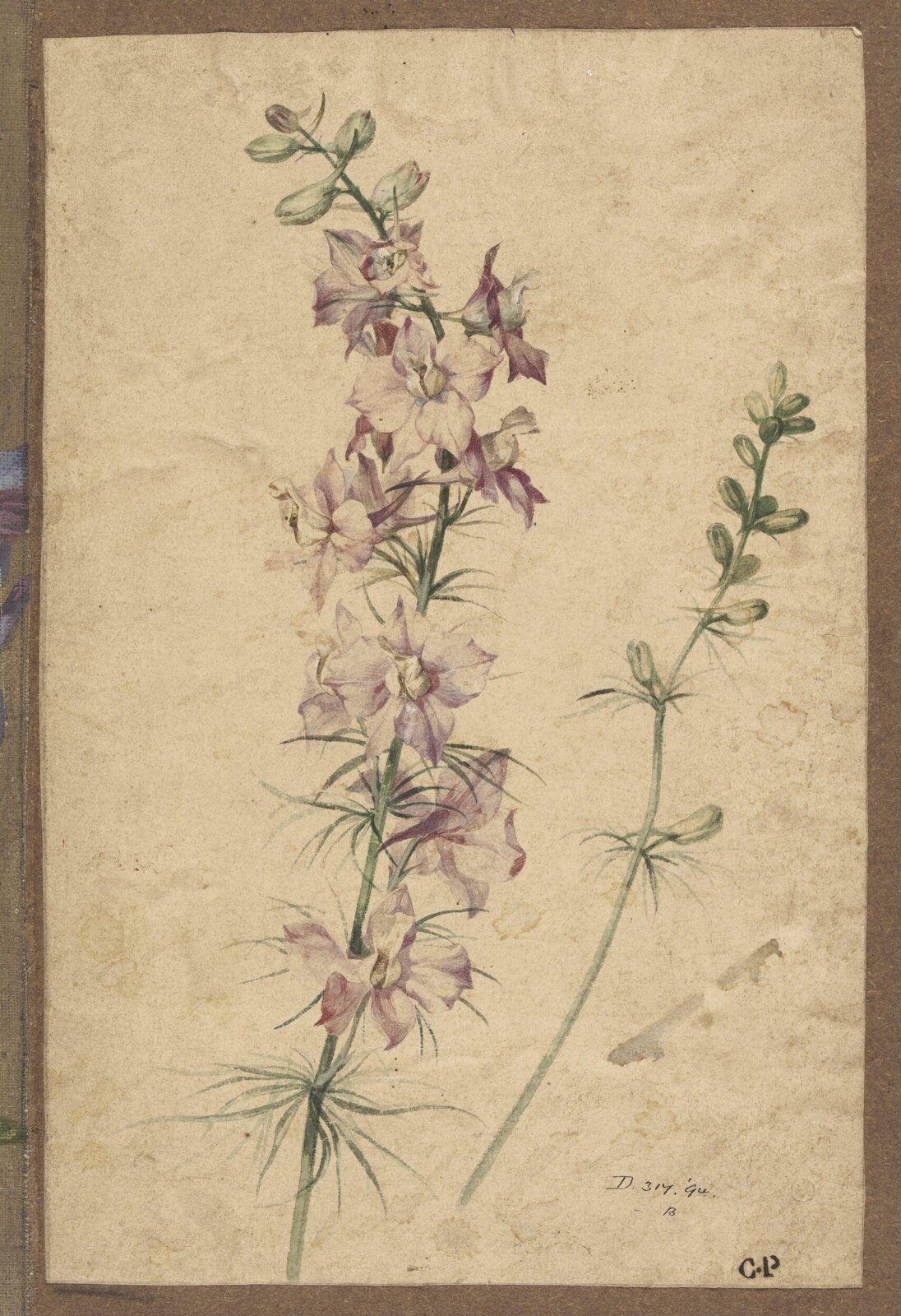 Drawing, Charles Polisch, ca. 1845