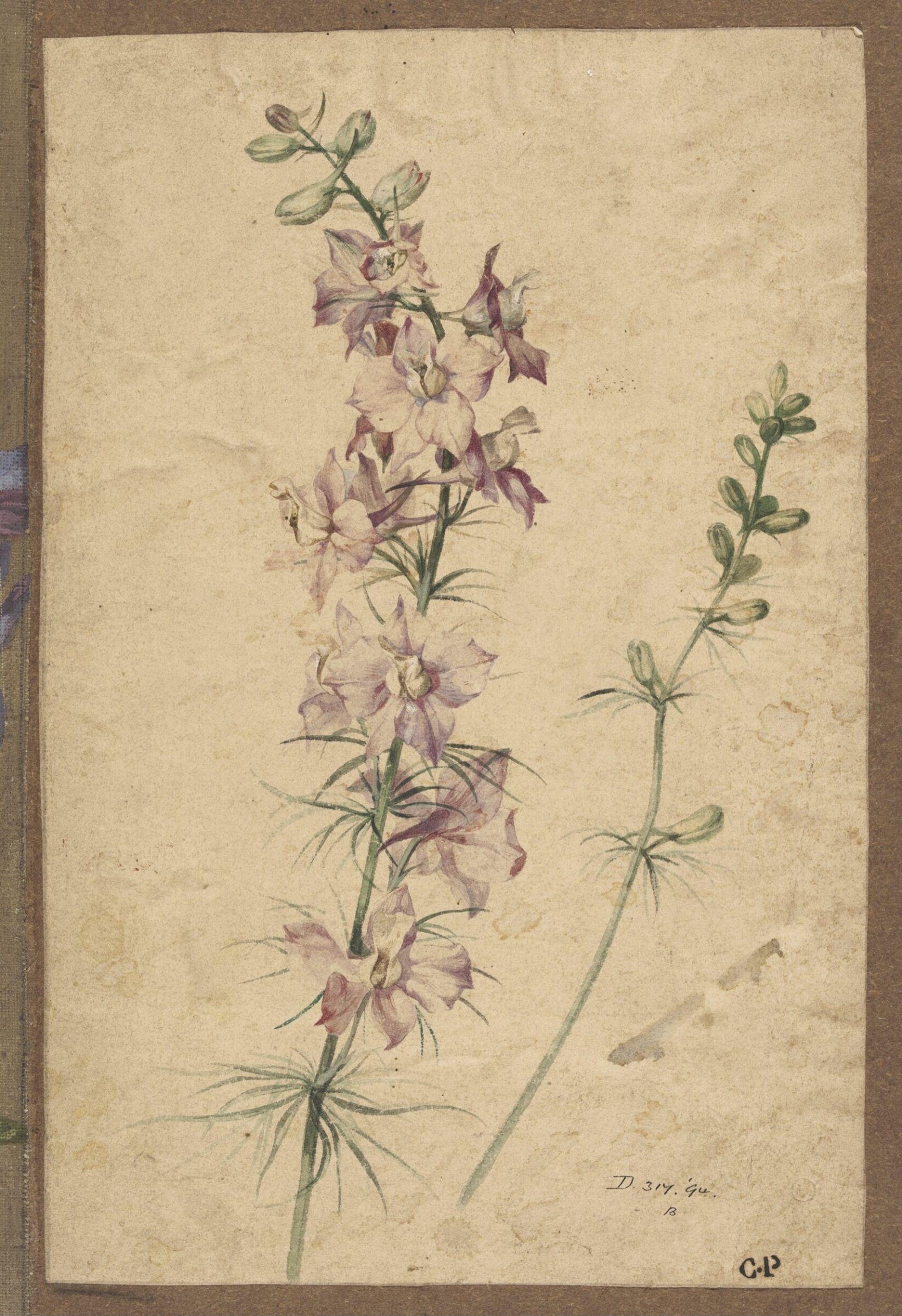 Drawing, Charles Polisch, ca. 1845