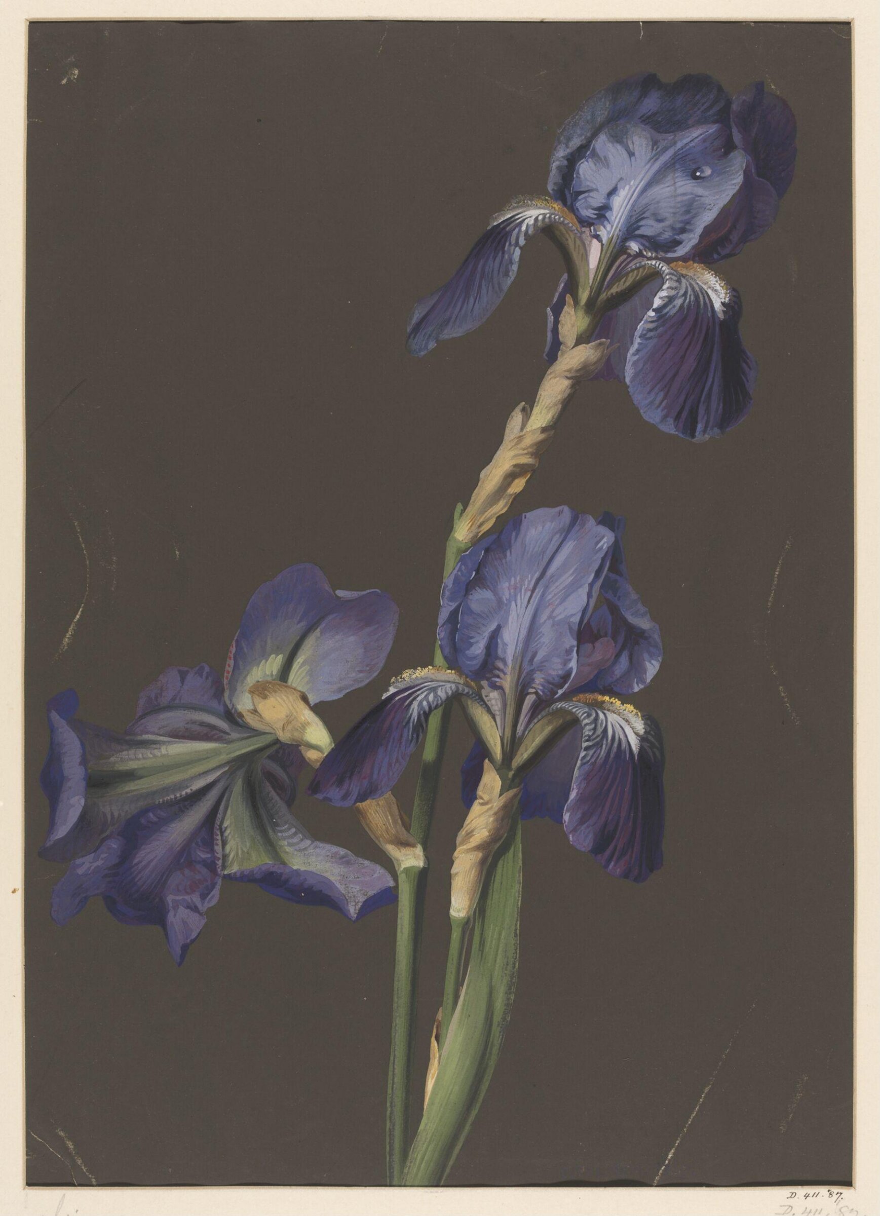 Drawing, Charles Polisch, 1847
