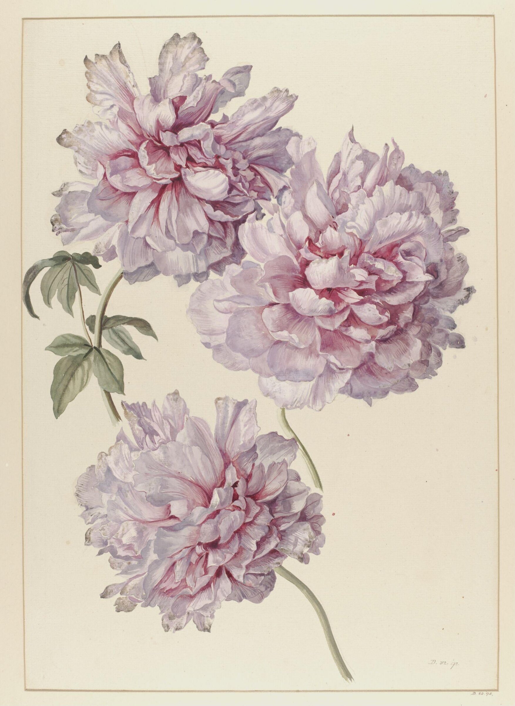 Drawing, A. Power, ca. 1800