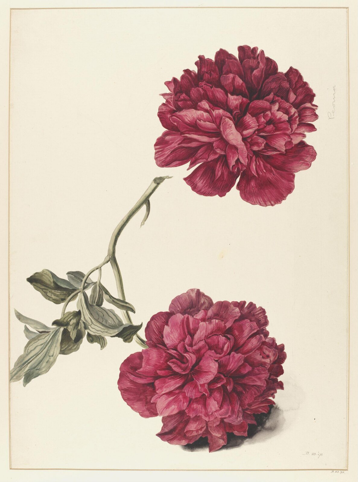 Drawing, A. Power, ca. 1800