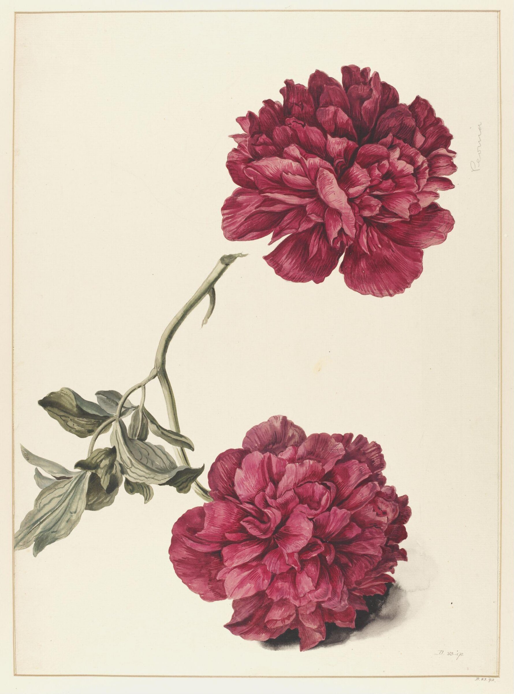 Drawing, A. Power, ca. 1800