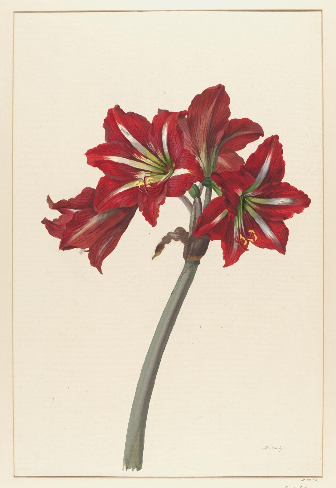 Drawing, A. Power, ca. 1800