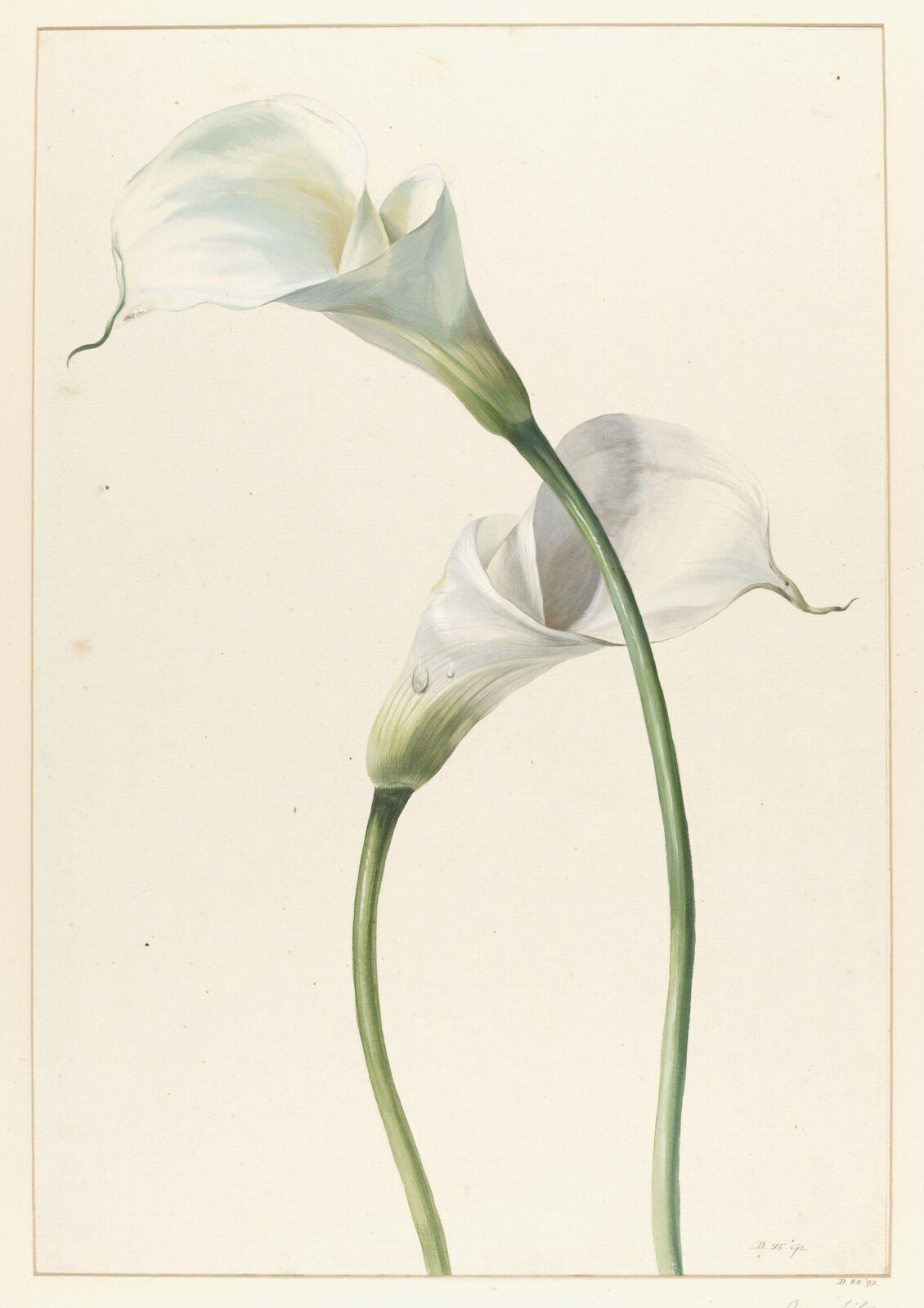 Drawing, A. Power, ca. 1800