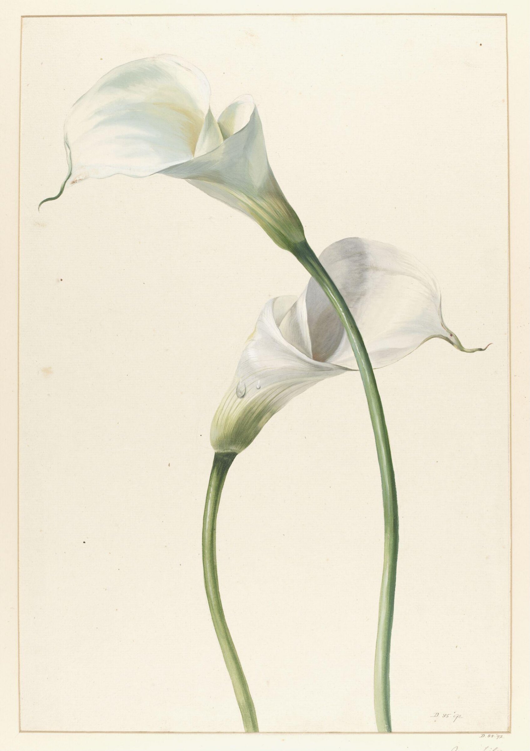 Drawing, A. Power, ca. 1800